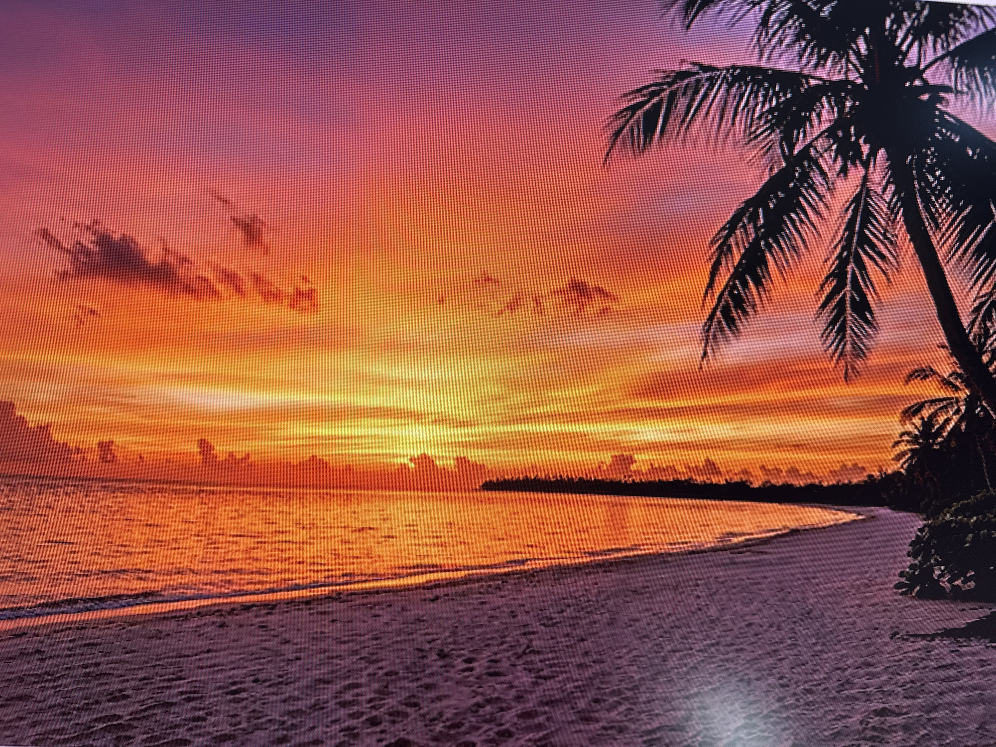 This is a digital image depicting a tropical beach scene at sunset. The sky is a vibrant gradient of purple, pink, and orange, with some scattered clouds. The sun is low on the horizon, casting a warm glow over the water and the sandy beach. Silhouettes of palm trees are visible on the right side of the image, with their fronds reaching towards the colorful sky. In the distance, a tree line forms a dark silhouette against the bright horizon, suggesting a densely vegetated coastline. The ocean is calm, reflecting the colors of the sunset. The beach is made of fine sand, with footprints visible, indicating it is a well-traveled area. The overall mood is serene and tranquil, evoking a sense of peace and natural beauty. The time of day is clearly sunset, and the weather appears to be clear and calm. While the image is suggestive of a tropical location, there are no specific location cues within the image itself to pinpoint a precise geographical area. There is no visible text in the image.