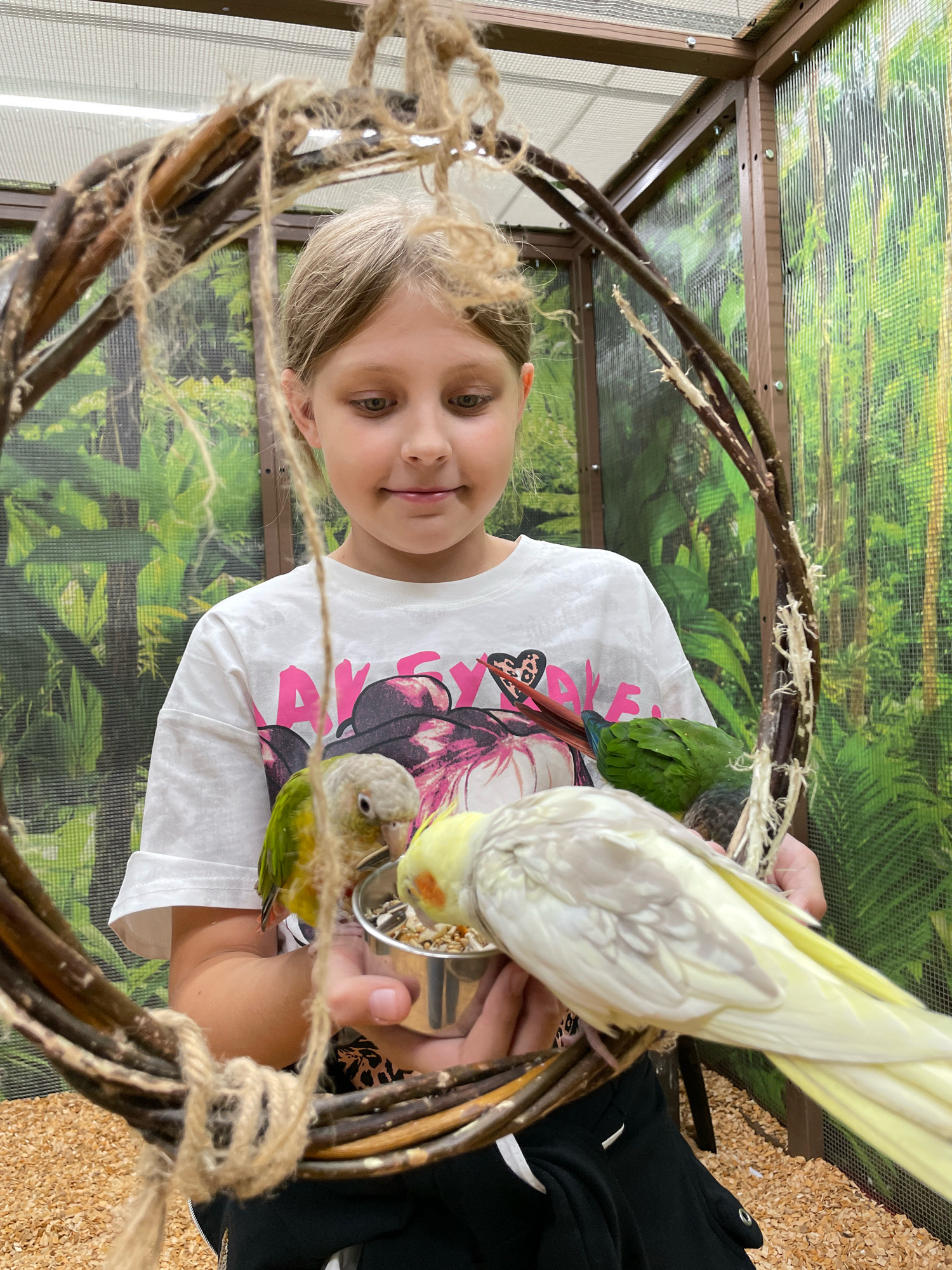 In Izhevsk, Russia, a young girl with blonde hair stands in a bird enclosure, holding a small metal cup of seeds. A pale yellow cockatiel and a green conure are perched on her hands, eating from the cup. A wooden perch with jute rope hangs in the foreground, partially obscuring the girl and the birds. The enclosure has a backdrop of lush green foliage, suggesting a jungle-like environment. The floor of the enclosure is covered in wood chips. The girl wears a white t-shirt with a colorful graphic print.
