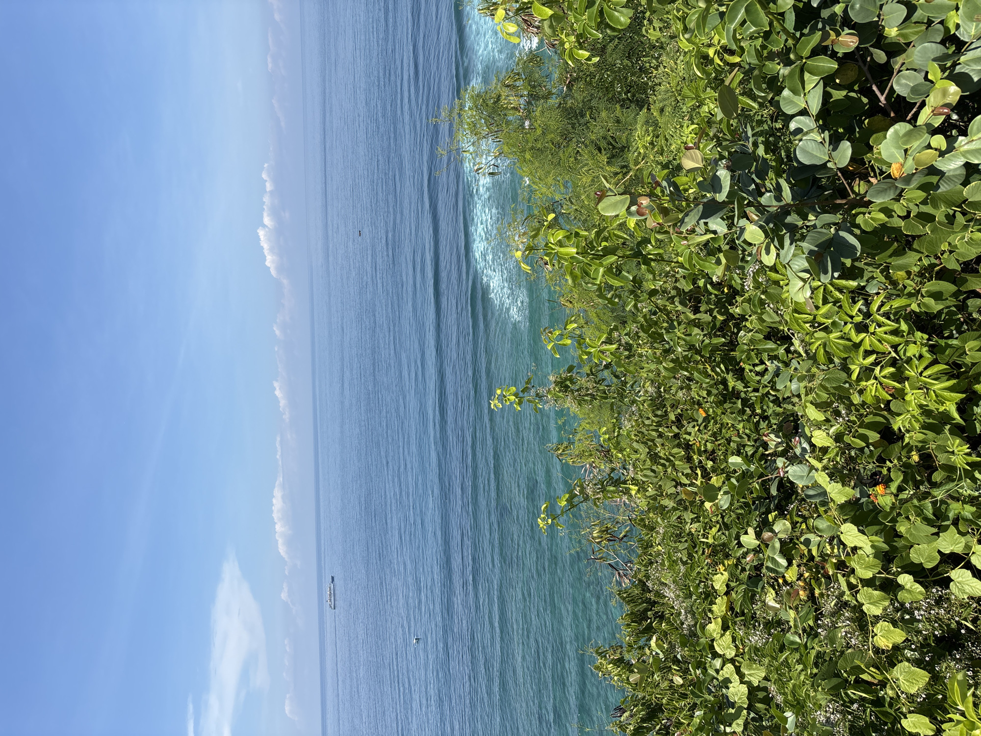The image shows a view of the ocean from a cliffside in Kuta Selatan, Indonesia. The ocean is a gradient of blues and greens, with a visible wave breaking near the shoreline. Lush green vegetation covers the cliff's edge. In the distance, a ship is visible on the horizon. The sky is blue with scattered clouds.