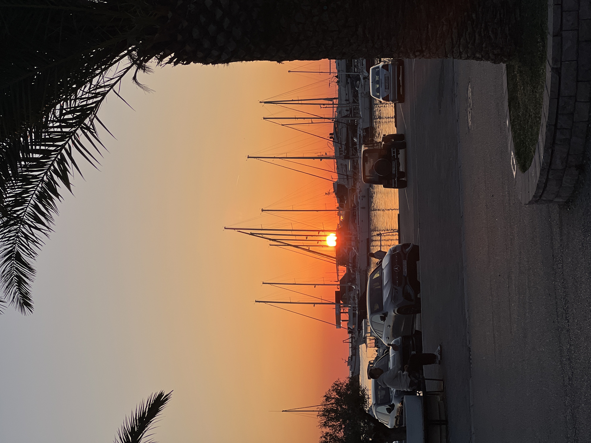 The image captures a vibrant sunset scene over a waterfront promenade and marina in Bar, Montenegro. The sun, a bright orange orb, is prominently featured just above the horizon, casting a warm, intense orange glow across the sky and reflecting on the calm water.
In the foreground, silhouetted palm fronds frame the upper left and upper right corners of the image, adding a tropical element to the scene. A paved road or promenade runs along the right side, where several cars are parked parallel to the waterfront. One white car clearly displays a license plate with the text "BR-10519," and another darker vehicle shows a Mercedes-Benz logo. At least one person is visible sitting on a low wall or bench near the parked cars, while another figure can be discerned further along the road.
The midground is dominated by a marina filled with numerous sailboats and yachts. Their masts and rigging create intricate, dark silhouettes against the glowing sunset sky. The water reflects the warm hues of the sunset, creating a shimmering effect. The sky transitions from a deep, rich orange around the sun to a lighter, more muted orange and then a soft, pale blue-grey higher up.
The overall atmosphere is peaceful and serene, characteristic of an evening at a coastal location.