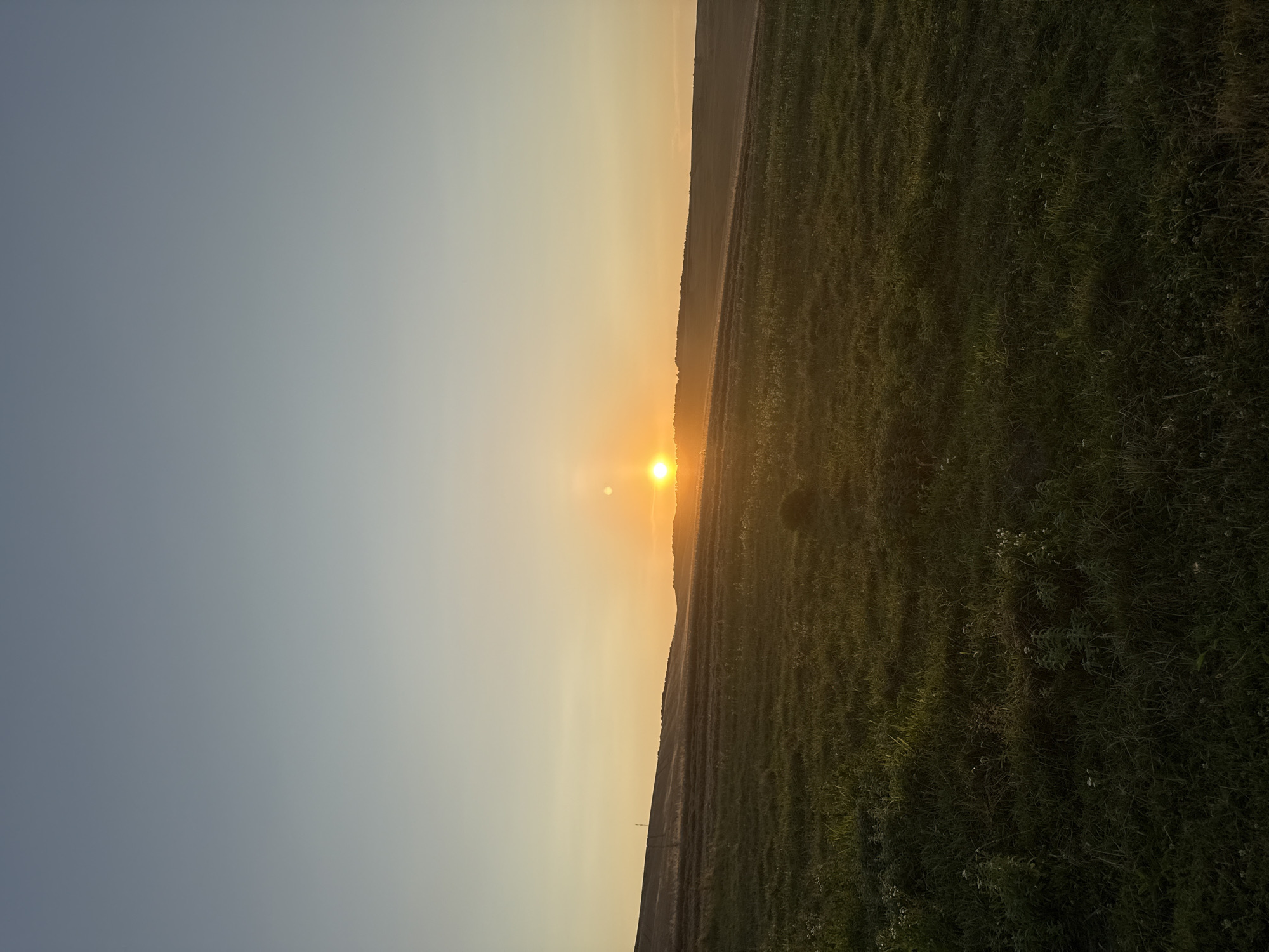 An outdoor, vertical, full shot captures a sunset over a grassy field. The sky is a gradient of pale blue at the top transitioning to a warm yellow near the horizon. The sun, a bright orb, is positioned in the upper right quadrant, casting a warm glow over the landscape. Rolling hills, covered in dry grass and vegetation, form the middle ground, with some trees silhouetted against the horizon. The foreground is dominated by a lush green field, with some patches of wildflowers scattered throughout. The lighting suggests late afternoon or early evening. There are no people or animals visible in the scene. The location is unknown.