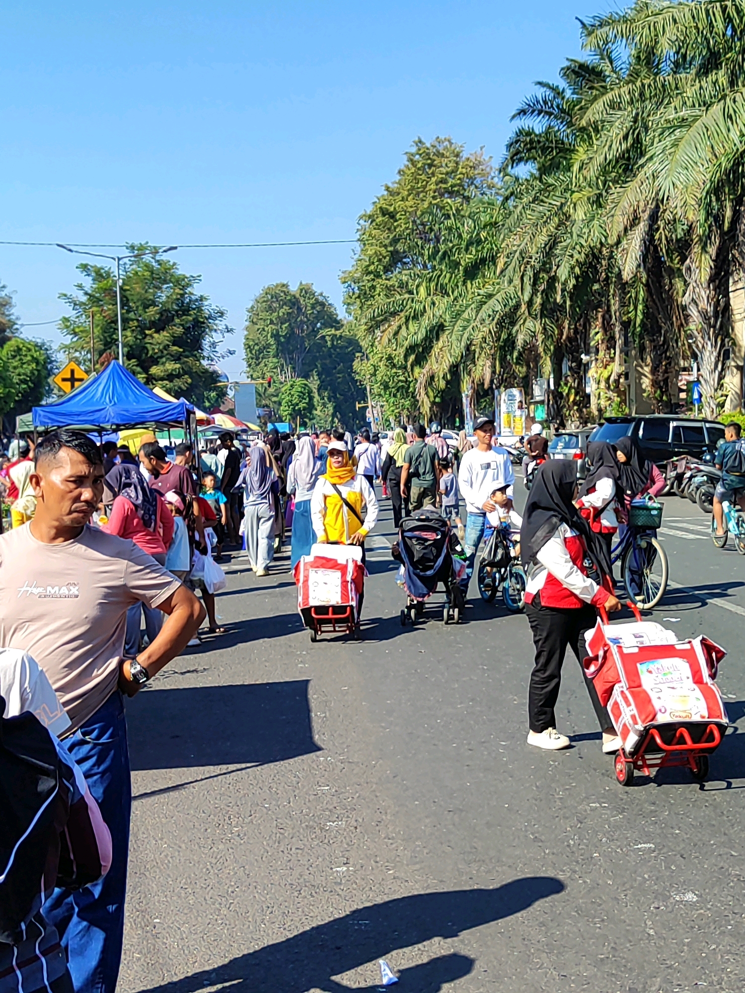 The image captures a bustling street scene in Bondowoso, Indonesia, likely during a daytime event or market. The foreground is dominated by a man looking to his left, wearing a light brown t-shirt and blue jeans. He is wearing a watch on his left wrist. Behind him, a crowd of people walks along a paved road. Many individuals are dressed in casual clothing, and several women are wearing hijabs.
Several people are seen pushing or pulling wheeled carts. One woman in the mid-ground, wearing a yellow hijab and jacket over a white shirt, is pushing a red cart with white contents. Further back, a person in a black hijab with red and white accents is also pushing a similar red cart. Other carts, some appearing to be for children, are also visible.
Tents, suggesting a market or fair, are set up on the left side of the road, with one blue tent prominently displayed. Palm trees and other lush green trees line the right side of the street, casting shadows on the road. In the background, vehicles, including cars and motorcycles, are present, indicating that this is a functioning street, potentially with some temporary closure for the event. The sky is clear and bright blue. The overall atmosphere appears lively and crowded.