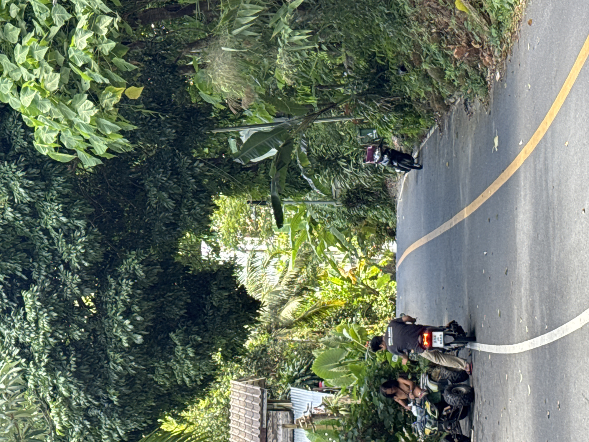 The image depicts a scene on a paved road in Kamala, Thailand, bordered by lush tropical vegetation. The road has a yellow line marking the center and a white line along the edge. In the foreground, two individuals are present. A person wearing a dark t-shirt and light-colored pants is seated on a black motorcycle, facing away from the camera. To the left of the motorcycle, an all-terrain vehicle (ATV) is parked, with a person wearing a bikini top and shorts seated on it, also facing away from the camera. Further down the road, another black motorcycle is parked on the side, facing uphill. The environment is characterized by dense green foliage, including large leaves of banana plants and other tropical trees, with a glimpse of a building with a tiled roof on the left side of the road. The overall impression is a rural or suburban setting with elements of local transportation and natural surroundings.