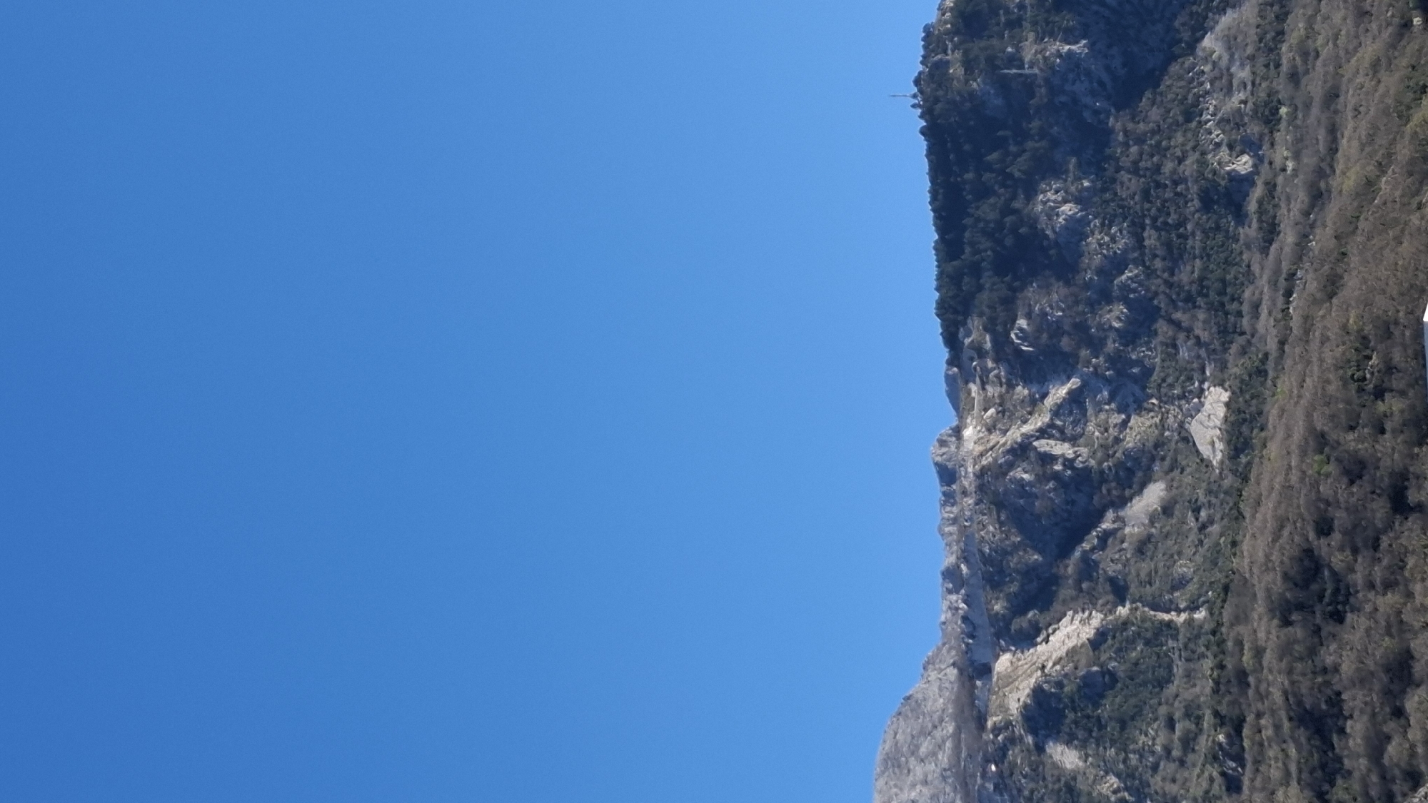 The image shows a steep, rocky mountain side partially covered in vegetation, including trees and shrubs. A clear blue sky fills the rest of the frame. The location is the city of Budva, Montenegro.