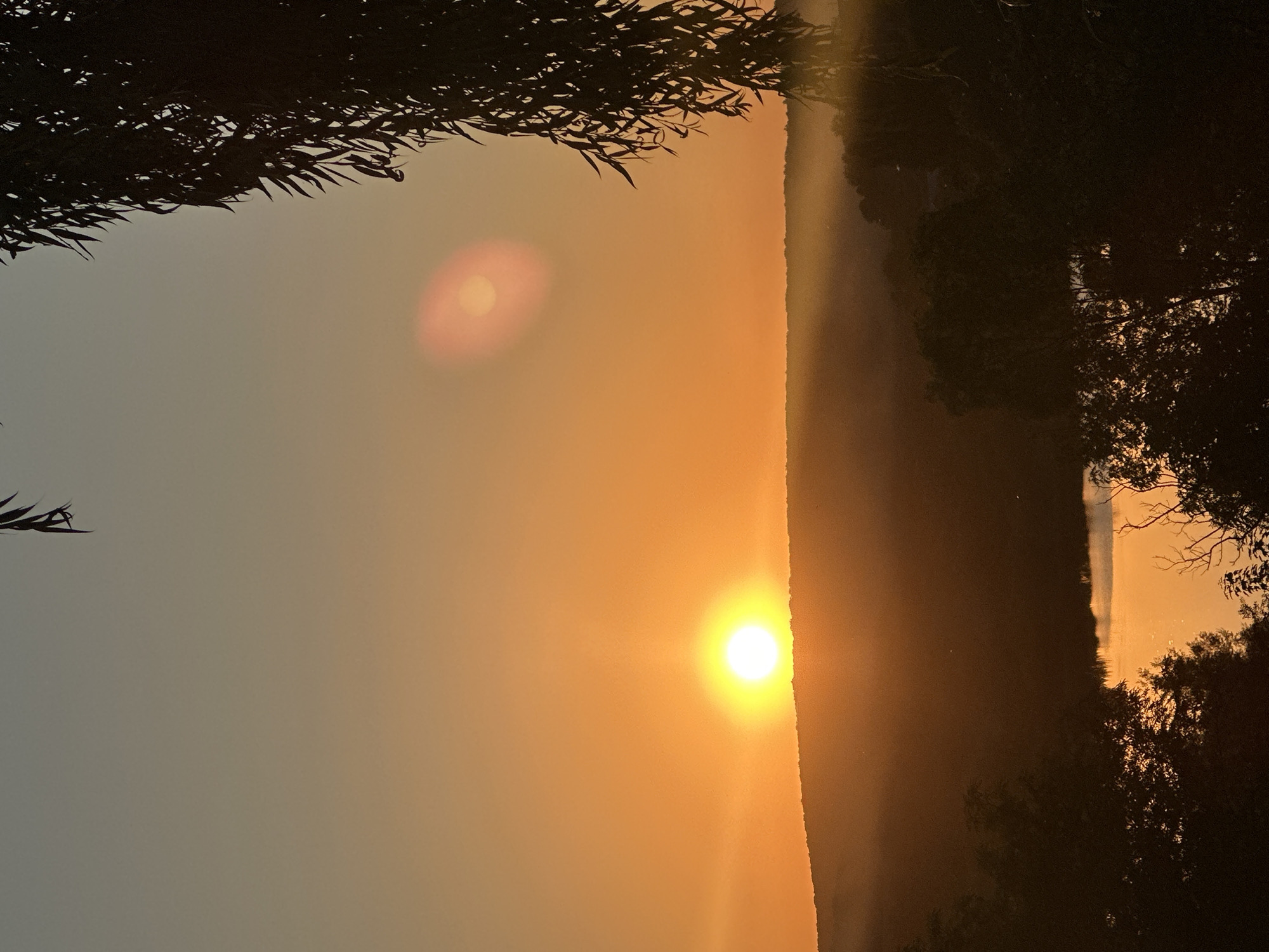 A sunset illuminates the sky over Makiv, Ukraine, casting a warm orange glow. The sun, a bright orb, is low on the horizon, partially obscured by a silhouetted treeline. In the foreground, the dark branches of a weeping willow tree hang down from the top of the frame, their leaves creating a blurred silhouette against the sky. A body of water, likely a river or lake, reflects the sunset's colors in the middle ground. The landscape appears to be rural, with rolling hills and dense vegetation.
