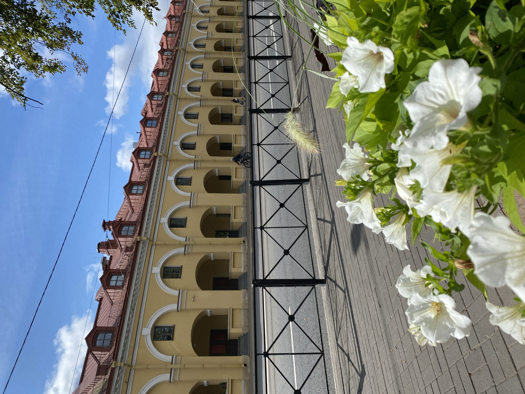 The image captures a bright, sunny day in Saint Petersburg, Russia, with a long, yellow building featuring a red-tiled roof and numerous arched doorways. The building's facade is symmetrical, with a series of windows on the upper level. In front of the building, a black metal fence with a diamond pattern separates the sidewalk from a road. On the sidewalk, a person is riding a bicycle, and another person is walking in the distance. In the foreground, white petunias and green foliage are in bloom, partially obscuring the view of the sidewalk and street. The sky is blue with scattered white clouds. This architectural style is characteristic of many historical buildings in Saint Petersburg, likely from the 19th or early 20th century, possibly part of a market or an administrative complex given the repetitive arched structures.
