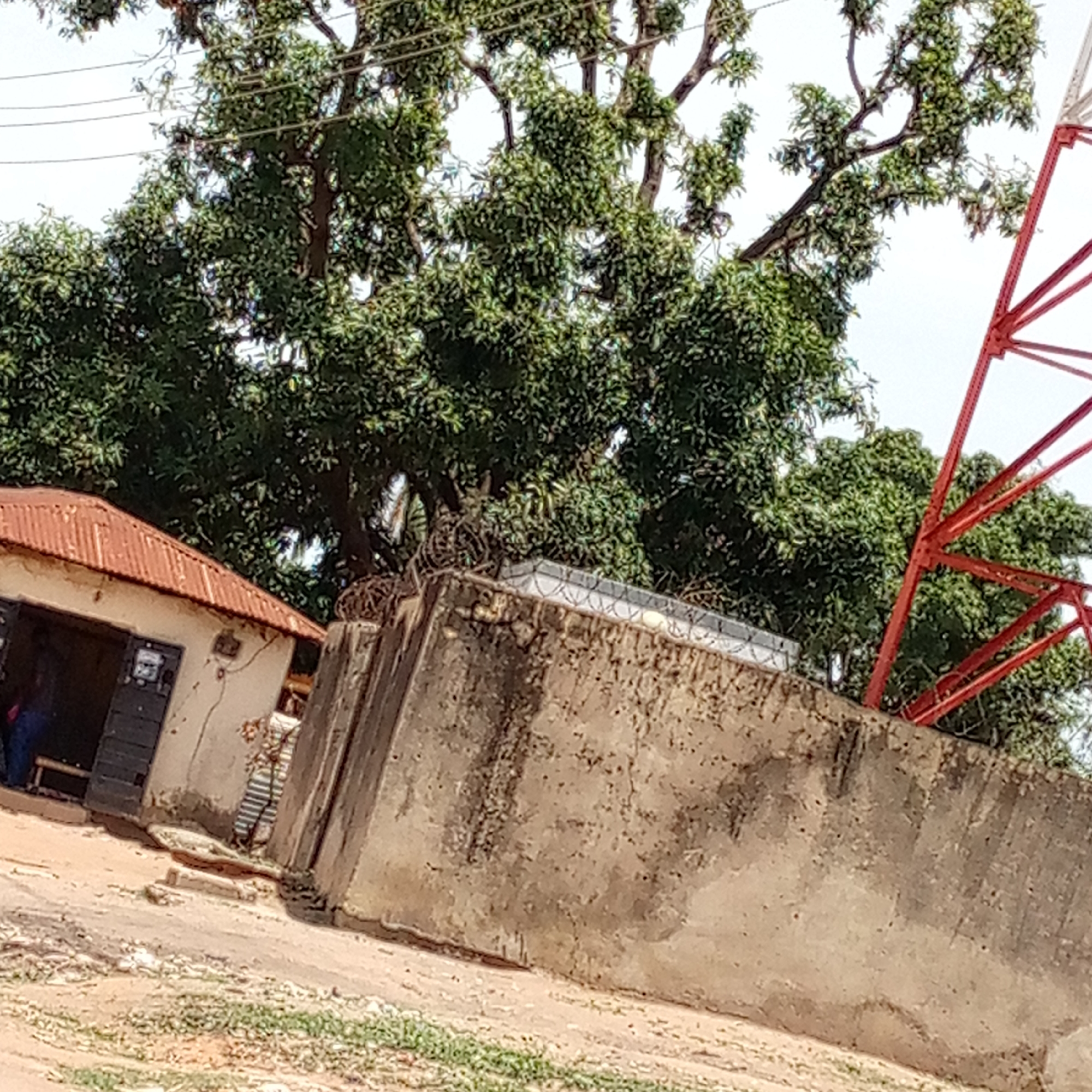 This image captures a bright, daytime scene in what appears to be a semi-urban or rural area, likely Mararaba, Nigeria. The main subjects are a small building, a large concrete wall, a prominent red metal tower, and a dense tree canopy.
On the left, a small, single-story building with white or light-colored walls is visible, topped with a rusty, corrugated iron roof. A dark doorway shows a glimpse of a person dressed in blue inside. An electricity meter is affixed to the exterior wall next to the doorway. Power lines are visible in the upper left, stretching across the sky.
Running horizontally across the mid-ground is a tall concrete wall, showing signs of wear and stains. The wall is topped with barbed wire and what appears to be razor wire or security spikes, indicating a secured area. To the right of the wall, a striking red metal lattice structure, characteristic of a communication or cell phone tower, rises upwards. Its vibrant color contrasts with the surrounding greens and grays.
Behind the building and wall, a large tree with abundant, dense green foliage dominates the background, suggesting a tropical or subtropical climate. The ground in the foreground is unpaved, dusty, and has scattered patches of dry grass and debris. The sky is bright and clear, indicating fair weather. There is no discernible activity beyond the presence of a person inside the building. No clear, legible text is visible other than unreadable numbers on the electricity meter.