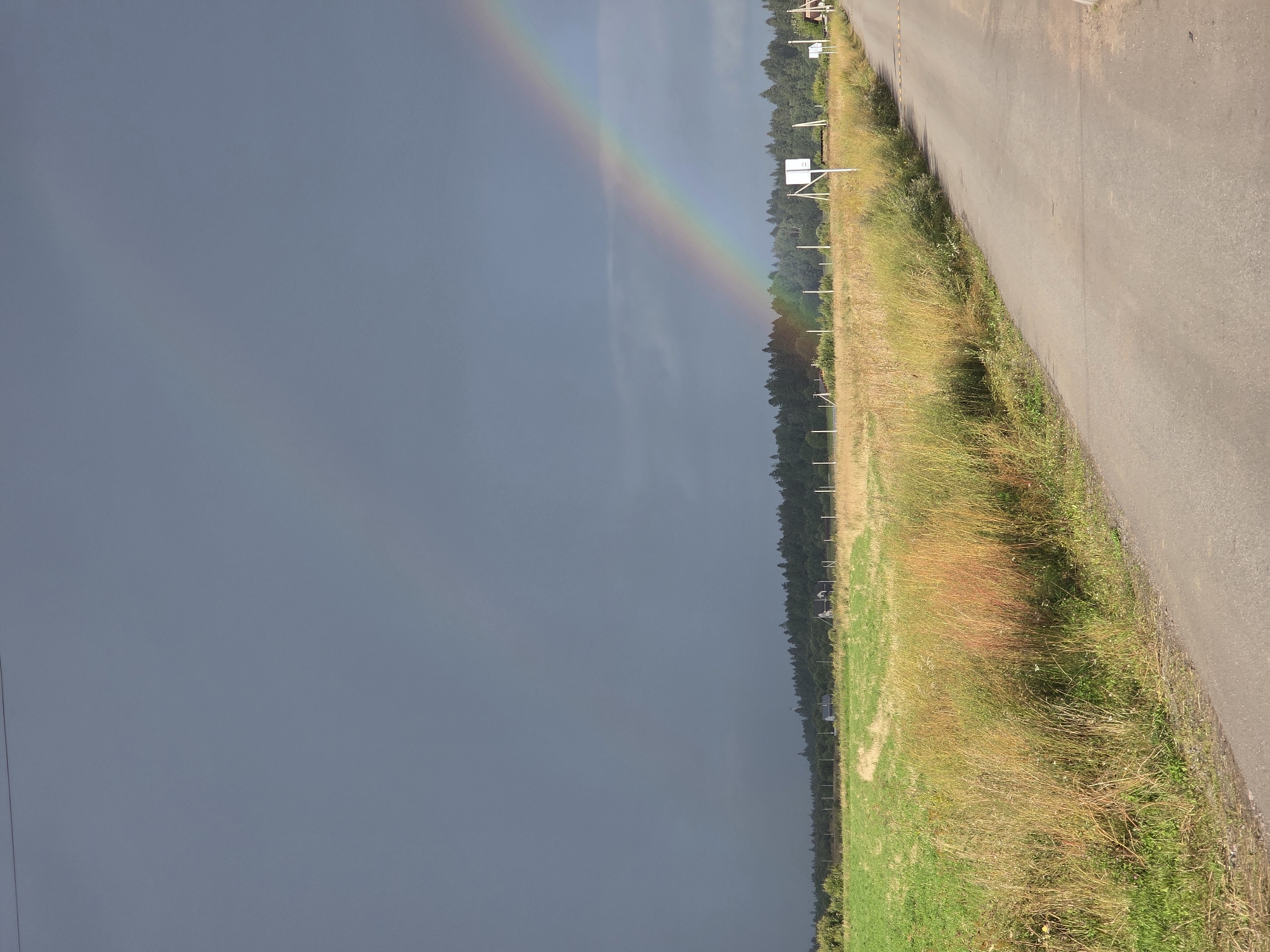 This image captures a pastoral landscape under a dramatic sky, likely in the vicinity of Glukhovo, Russia. A prominent double rainbow arcs across a dark, cloudy sky, with the brighter, more vibrant arc on the right and a fainter one above it. The foreground features an asphalt road leading away from the viewer and curving to the right. To the left of the road, a field of tall, dry grass with hints of red and yellow hues transitions to a field of greener grass with a track running through it. Beyond the fields, a dense line of dark green trees forms the horizon, punctuated by a few distant structures that appear to be houses. Several white signs on posts are visible in the middle ground, and a fence runs parallel to the road and fields, separating them from the distant treeline. The overall scene evokes a sense of natural beauty following a recent rain shower.