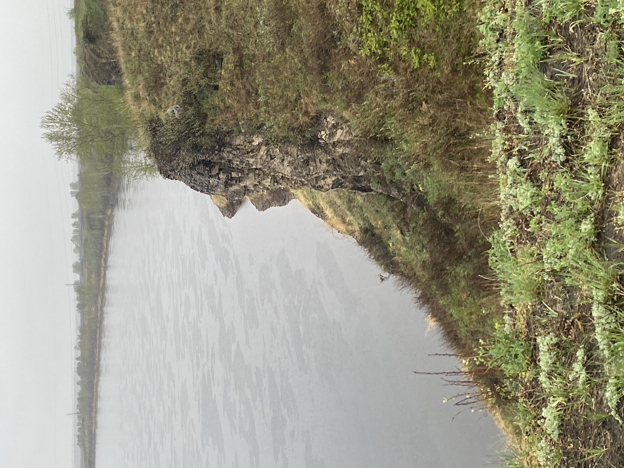 The image depicts a body of water alongside a bank. The bank consists of a steep rocky face covered in vegetation, primarily green grass and shrubs. The water surface appears calm. The sky is overcast, suggesting possible rain or a cloudy day. The location might be near Novomaltinsk, Russia. There are no people visible.