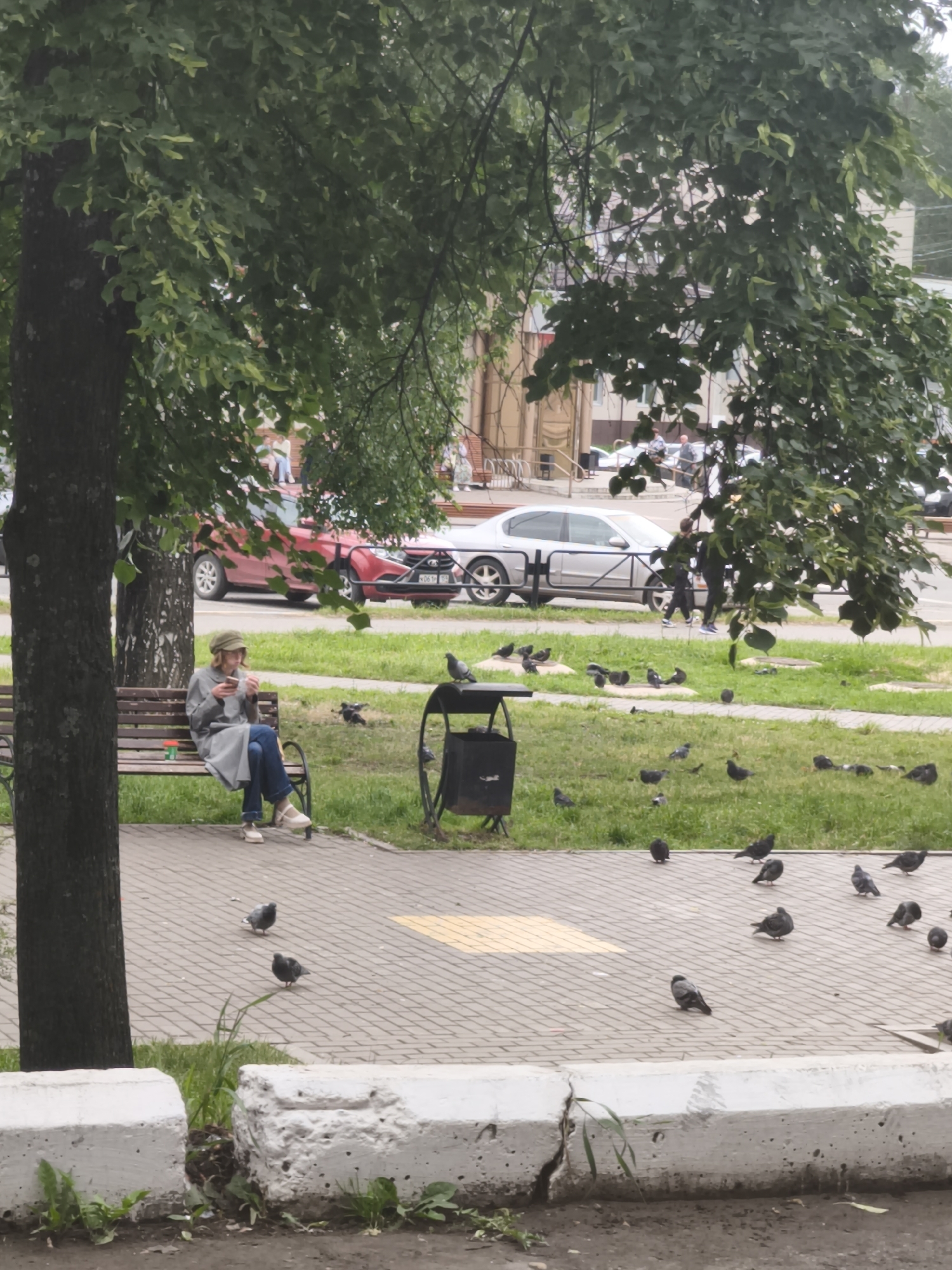 The image captures an urban park or green space scene in Chaikovsky, Russia, under an overcast sky. A large tree trunk is prominent on the left, with dense green foliage filling the upper left and central portions of the frame. A paved walkway of light-colored pavers occupies the foreground and mid-ground.
On the left, a woman is seated on a slatted wooden park bench beneath the tree. She wears a light-colored long coat, blue jeans, and a green cap, holding a white cup with both hands and looking down at it. A red and white cup is positioned on the bench to her left. Adjacent to the bench on the right is a dark metal trash bin, with one pigeon perched on its top.
Numerous other pigeons are scattered across the grassy area that lies between the paved walkway and a street, as well as on the walkway itself. Two concrete blocks or sections of a low barrier are visible in the immediate foreground.
In the mid-ground, a road runs horizontally, occupied by parked vehicles. A red sedan is on the left, displaying a partial license plate that includes "X06TH", followed by a silver sedan. Beyond the road, several indistinct figures of people are visible walking or standing near buildings. The background features blurred multi-story structures. The overall scene depicts a mundane urban environment during daylight hours.