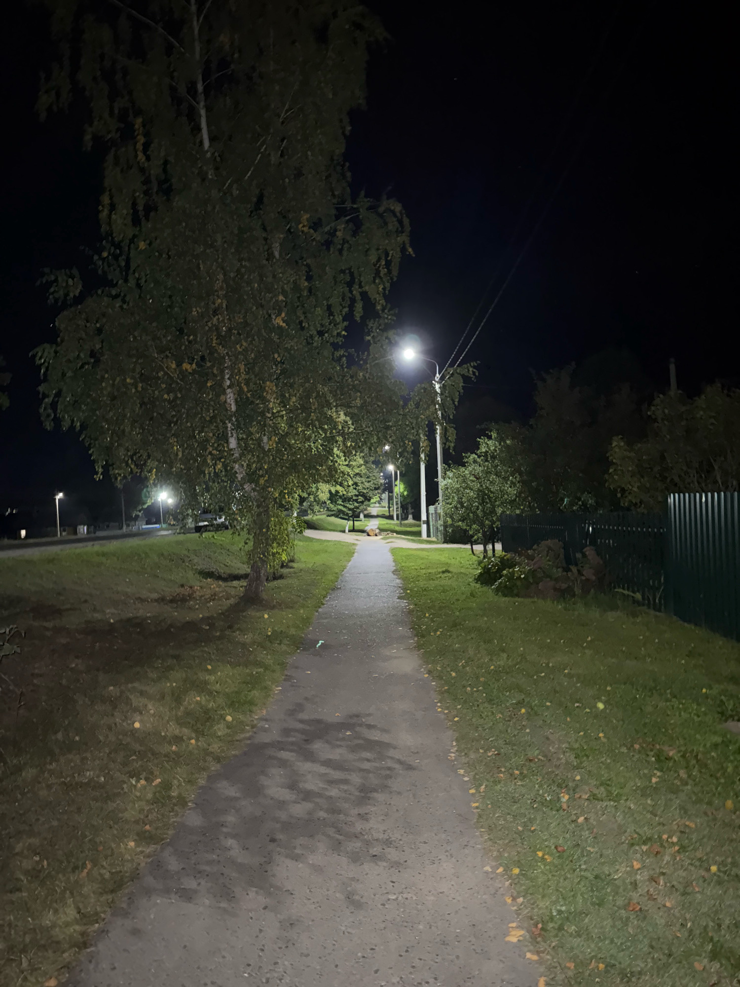 An outdoor pathway in Slawharad, Belarus, is illuminated by streetlights at night. The pathway is made of asphalt and is flanked by a grassy verge on the right. Several trees are visible, including a large birch tree on the left side of the pathway. The grass on the right has fallen leaves scattered across it. A dark green metal fence runs along the far right edge of the frame. In the background, more trees and some lights from buildings are visible. A white car is parked in the distance on the left side of the pathway. The sky is dark, indicating nighttime.