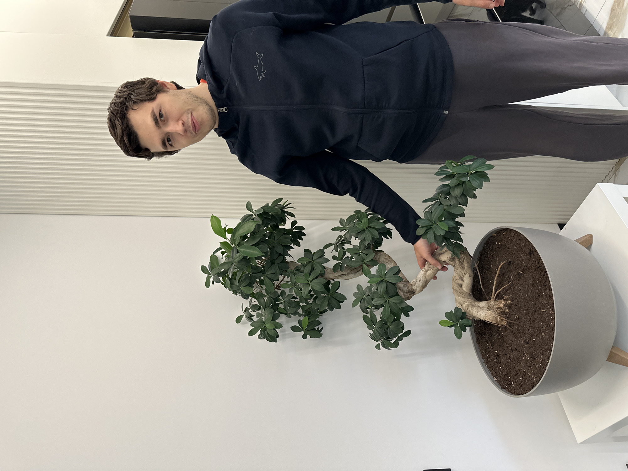 A man in a dark blue zippered sweatshirt and gray sweatpants stands indoors next to a large potted plant. The plant is a bonsai-style tree with a thick, twisting trunk and dense green foliage. The pot is a large, gray, round container sitting on a white shelf or table. The background consists of a white wall with horizontal lines and a glimpse of a glossy surface, suggesting a modern interior. The man is touching the tree trunk. There is no direct evidence to confirm the location as Молодёжный, Russia.