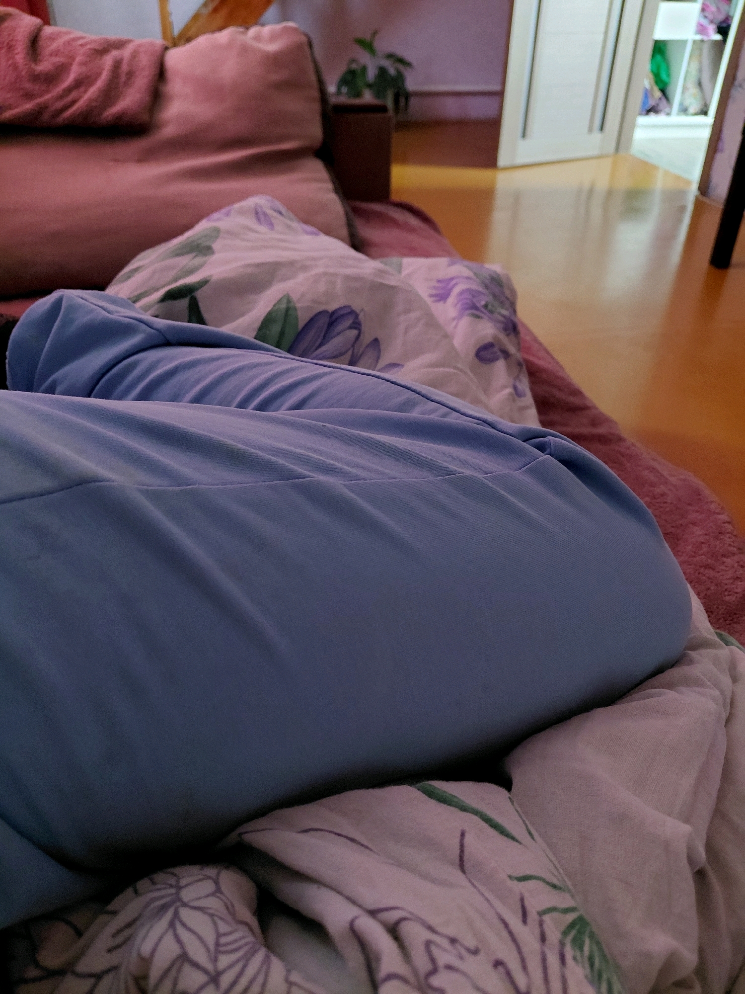 The image shows a close-up view of a person lying down, covered by blankets. The person appears to be on a couch or bed, with pillows visible in the background. The lighting suggests it is indoors, possibly in a living room or bedroom. The scene is mundane and domestic. There is no indication of the location in Malinovka, Russia, as the image only depicts an indoor setting.