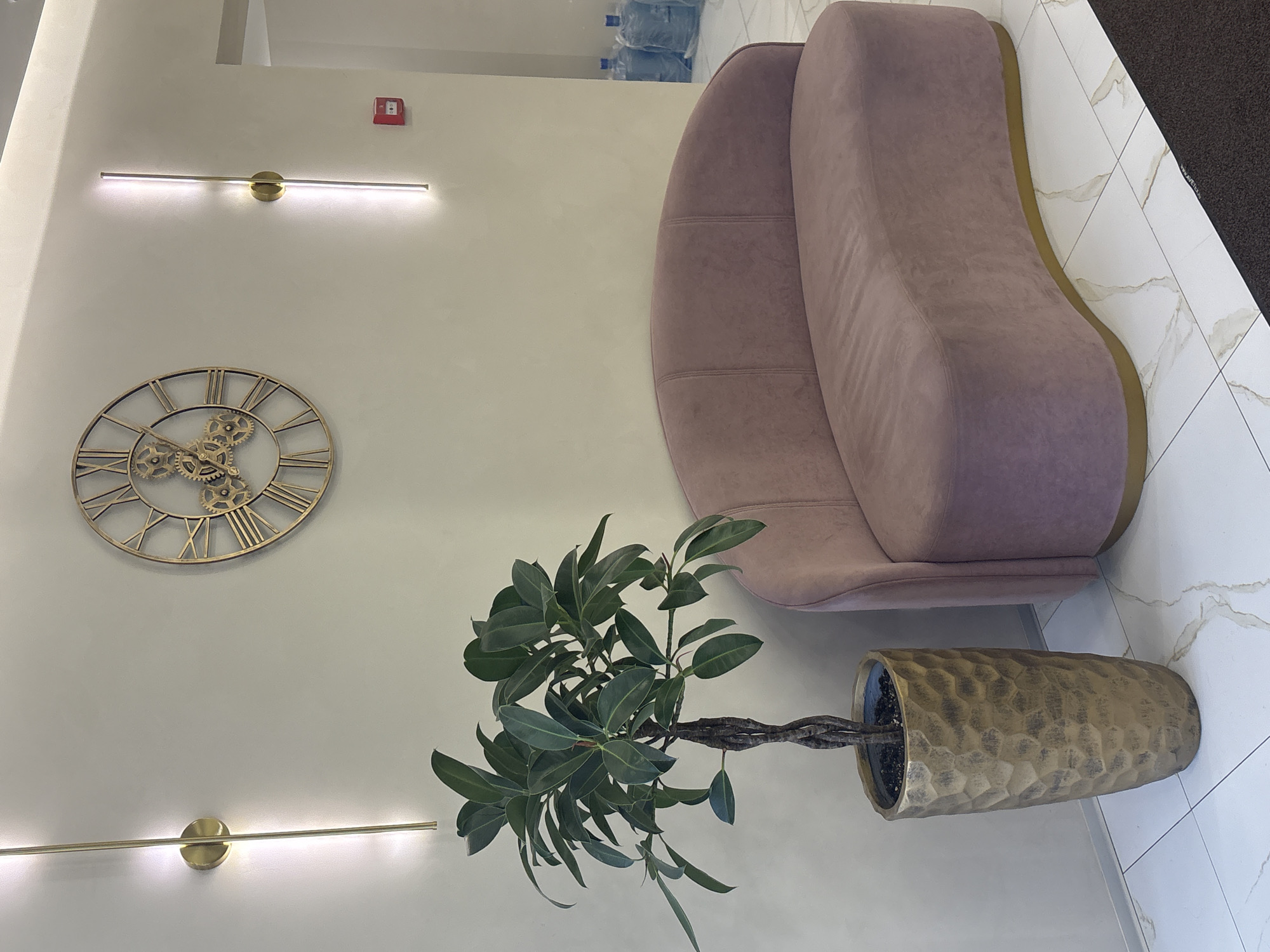 The image shows an interior setting with a mauve curved sofa placed next to a white wall decorated with a gold-colored, gear-shaped clock and two long, gold-colored light fixtures. A green leafy plant in a textured, gold-colored pot sits in front of the sofa. Bottles of water are visible in the upper corner of the image. The flooring appears to be light-colored tiles with marble-like veins. The scene appears to be a waiting area. The location is likely Perm, Russia.
