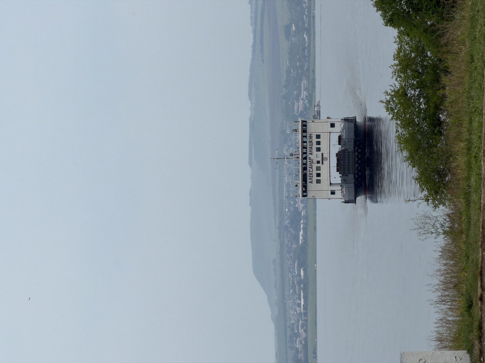A ferry, named "АЛЕКСАНДР АНАШКИН", is seen from behind as it moves away from the viewer on a body of water. The ferry is white with dark gray accents and has multiple windows. The stern of the ferry is visible, showing a dark hull and a wake trailing behind it. In the distance, a town or village is situated on the bank of the water, with houses and buildings visible. Behind the town, rolling hills form the backdrop. The sky is overcast and a light gray color. The foreground shows a grassy bank with some dry reeds and green bushes. The location is the city of Novoselovo, Russia.