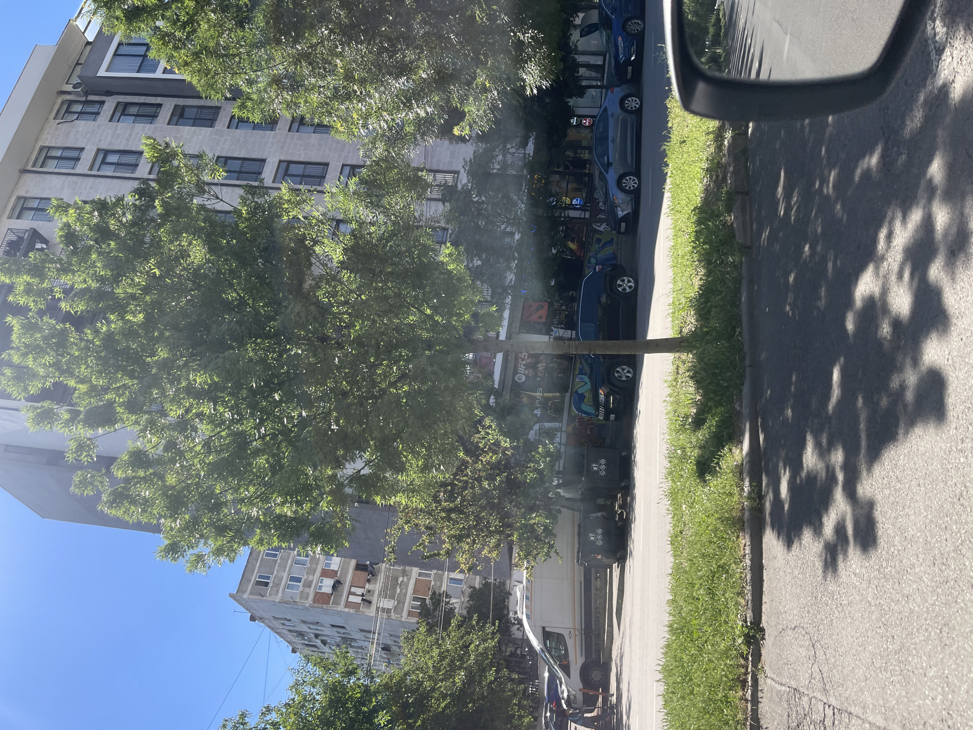 A daytime, medium-shot street view captures a sidewalk lined with trees and buildings in Tbilisi, Georgia. In the foreground, asphalt pavement is visible, with a grassy median strip and a concrete curb. To the right, a car's side mirror reflects the street and trees. The middle ground features a row of parked vehicles, including a white van and several cars of various colors and models, alongside large, dark-colored garbage bins. Behind the vehicles, a building with multiple stories, featuring large windows and balconies, dominates the scene, its architecture suggesting a mix of modern and older styles. Sunlight casts dappled shadows from the trees onto the pavement and vehicles. The sky is clear and blue, indicating fair weather. The overall impression is of an urban streetscape on a sunny day.