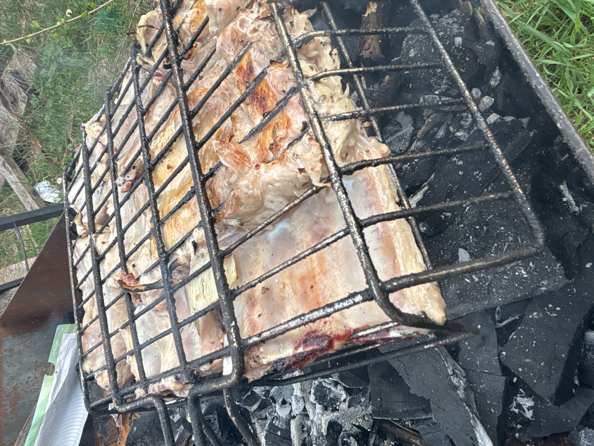 A piece of meat is being grilled in an outdoor setting, most likely in the city of Chaikovsky, Russia. The meat is enclosed within a black metal grilling basket, positioned over burning charcoal. The meat appears to be in the process of cooking, with parts showing a cooked color. The immediate environment around the grill includes remnants of burned charcoal and glimpses of grass.