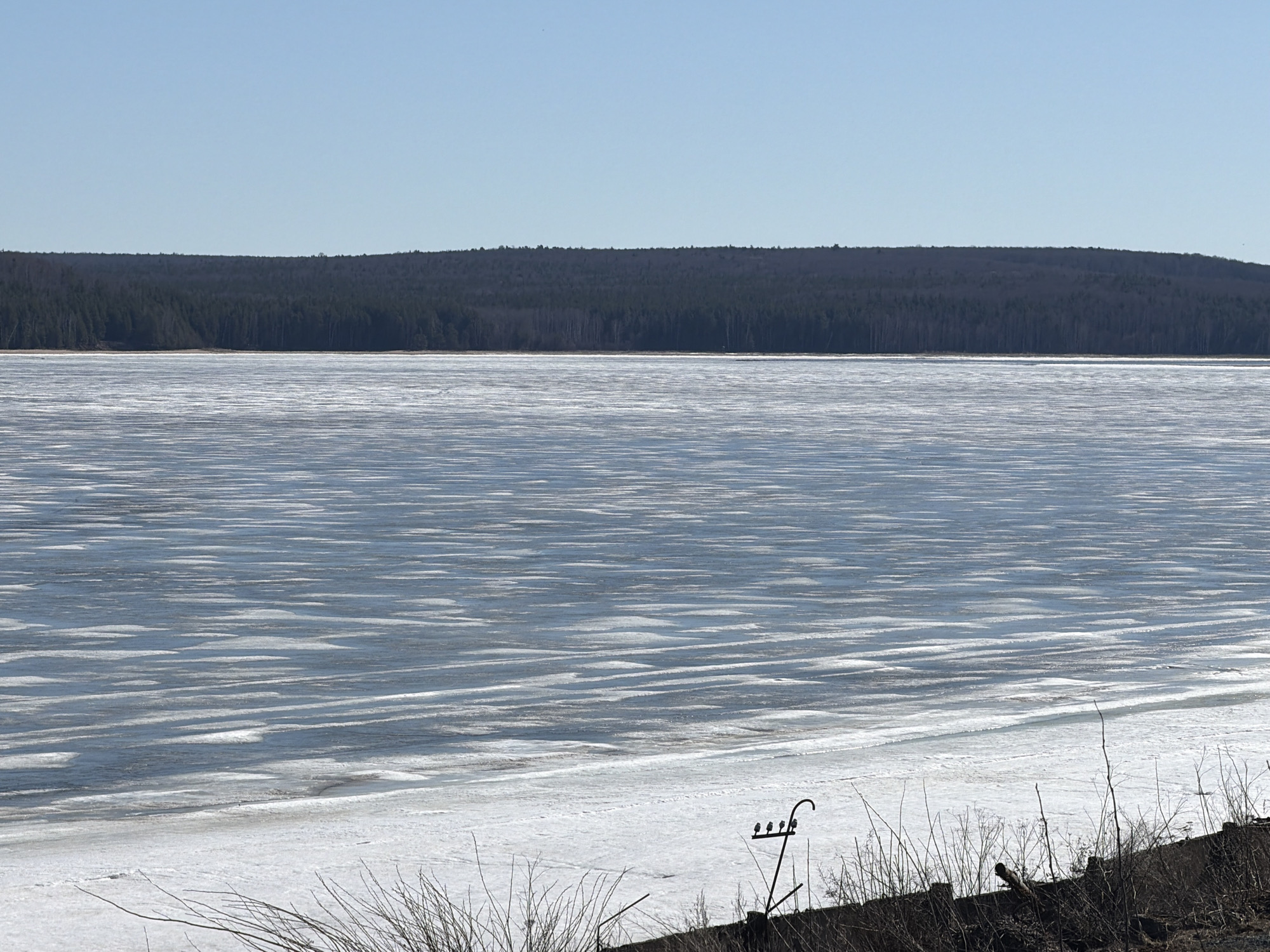 The image shows a frozen body of water, likely a lake or reservoir, covered in ice. The ice exhibits patterns of cracking and refreezing, creating alternating light and dark stripes across the surface. In the distance, a dense forest lines the opposite shore, rising slightly as if on a small hill. The sky is a clear, pale blue. In the foreground, vegetation and part of a dark embankment are visible, along with a black metal structure resembling a stylized bird feeder. Given the reference to Chaikovsky, Russia, the body of water could be the Votkinsk Reservoir.