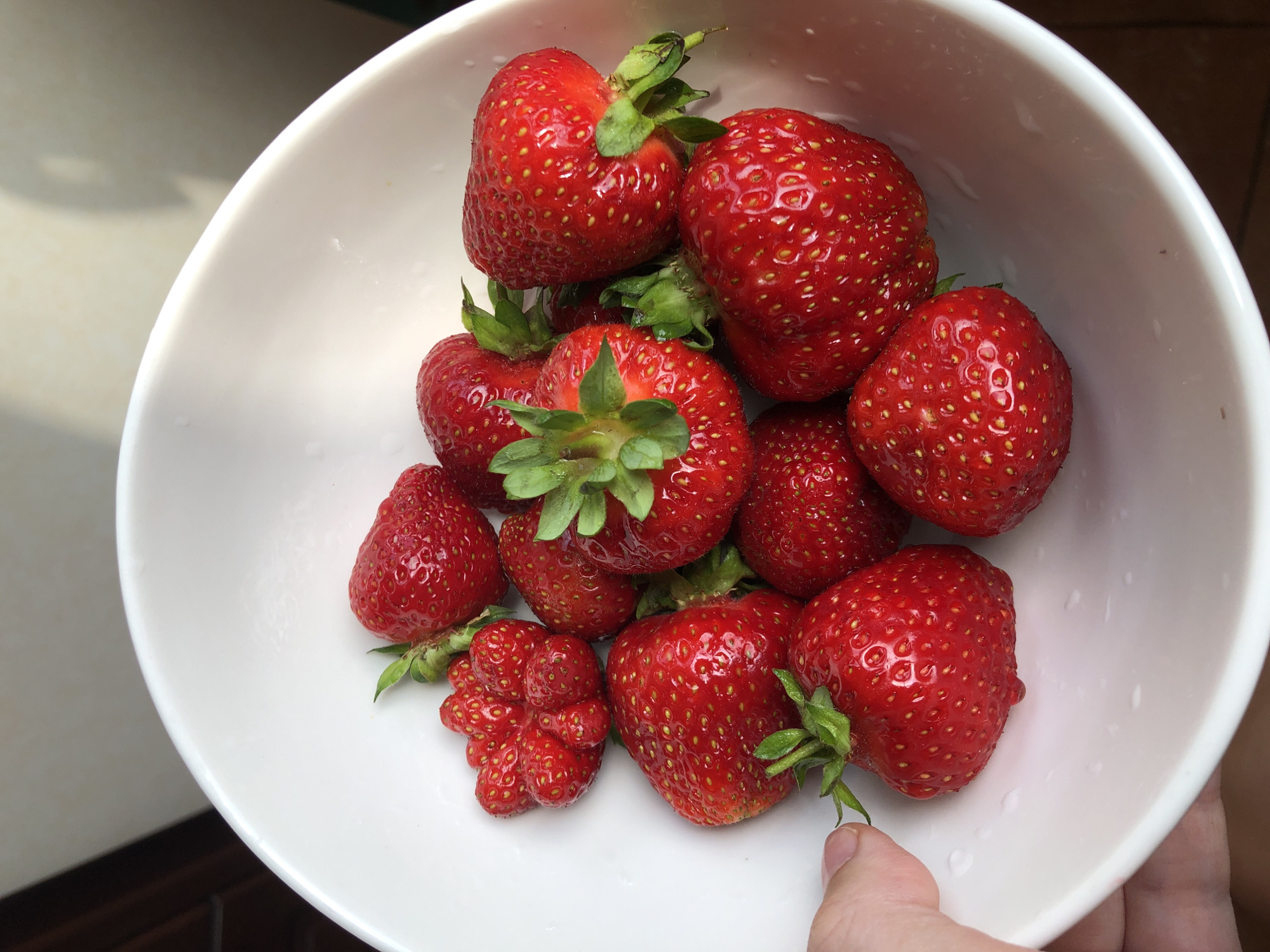 In a white ceramic bowl, a cluster of ripe strawberries is presented. The strawberries are bright red with visible seeds and green leafy tops. One strawberry, to the left of the bowl, is notably misshapen, appearing as a fused collection of smaller strawberry-like structures. A human hand is visible at the bottom left of the frame, appearing to touch the side of the bowl. The background is out of focus, showing a textured wall in pale tones and a dark area that might be furniture. The lighting suggests an indoor setting, possibly natural light from a window casting shadows on the wall. The image is a close-up shot, focusing entirely on the bowl of strawberries. There is no information to suggest the location is in Moscow, Russia.