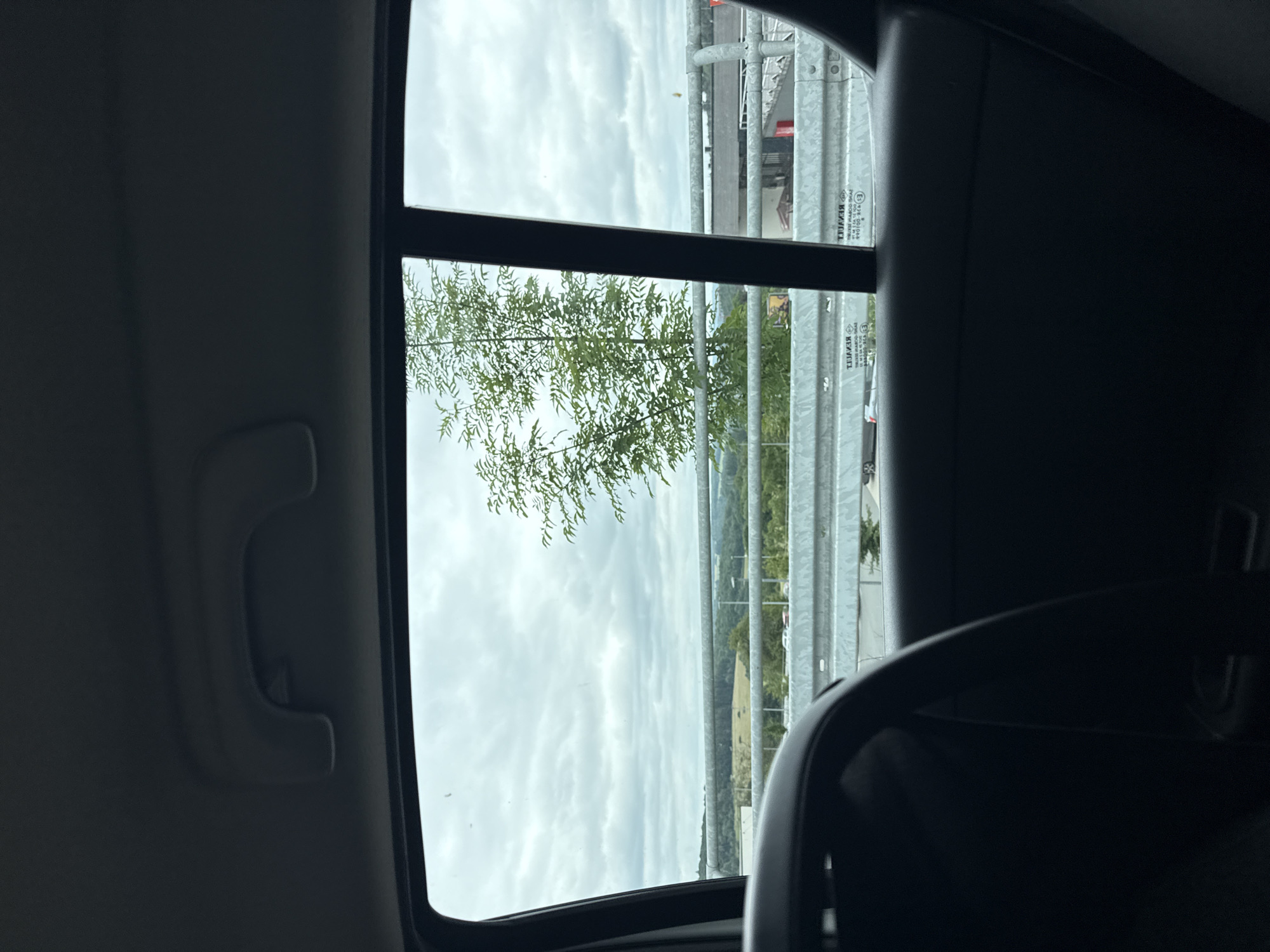 This image was taken from inside a vehicle, looking out the rear window towards a treed landscape under a cloudy sky. The foreground shows the dark interior of the car, including a portion of the seat and the frame of the window. Outside the window, a metal guardrail runs horizontally across the frame. Beyond the guardrail, a young tree with green leaves stands prominently in the center, its branches reaching upwards. In the background, rolling hills are visible, dotted with trees and some buildings. The sky is overcast with gray clouds. The image is dated August 31, 2023. There are no people visible in the image, and no actions or interactions are depicted. The location is the city of Braunfels, Germany.
