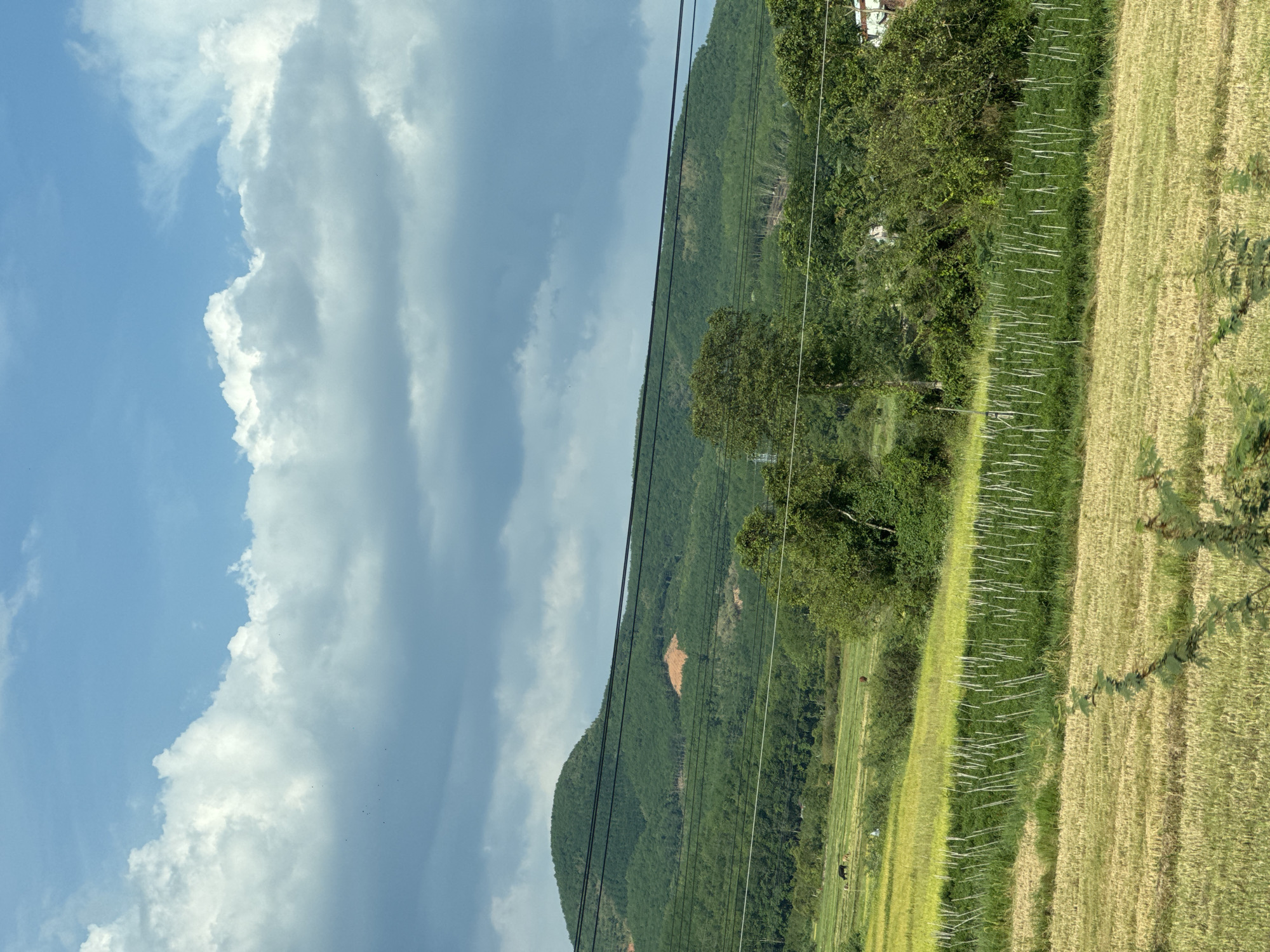 The image depicts a landscape in Đăk Hà, Vietnam. On the left, a cloudy sky dominates, transitioning into a hillside covered in lush green vegetation. A series of power lines run across the hillside. To the right, a field is divided into two sections: one of green grass with rows of white stakes, and the other of harvested crops.