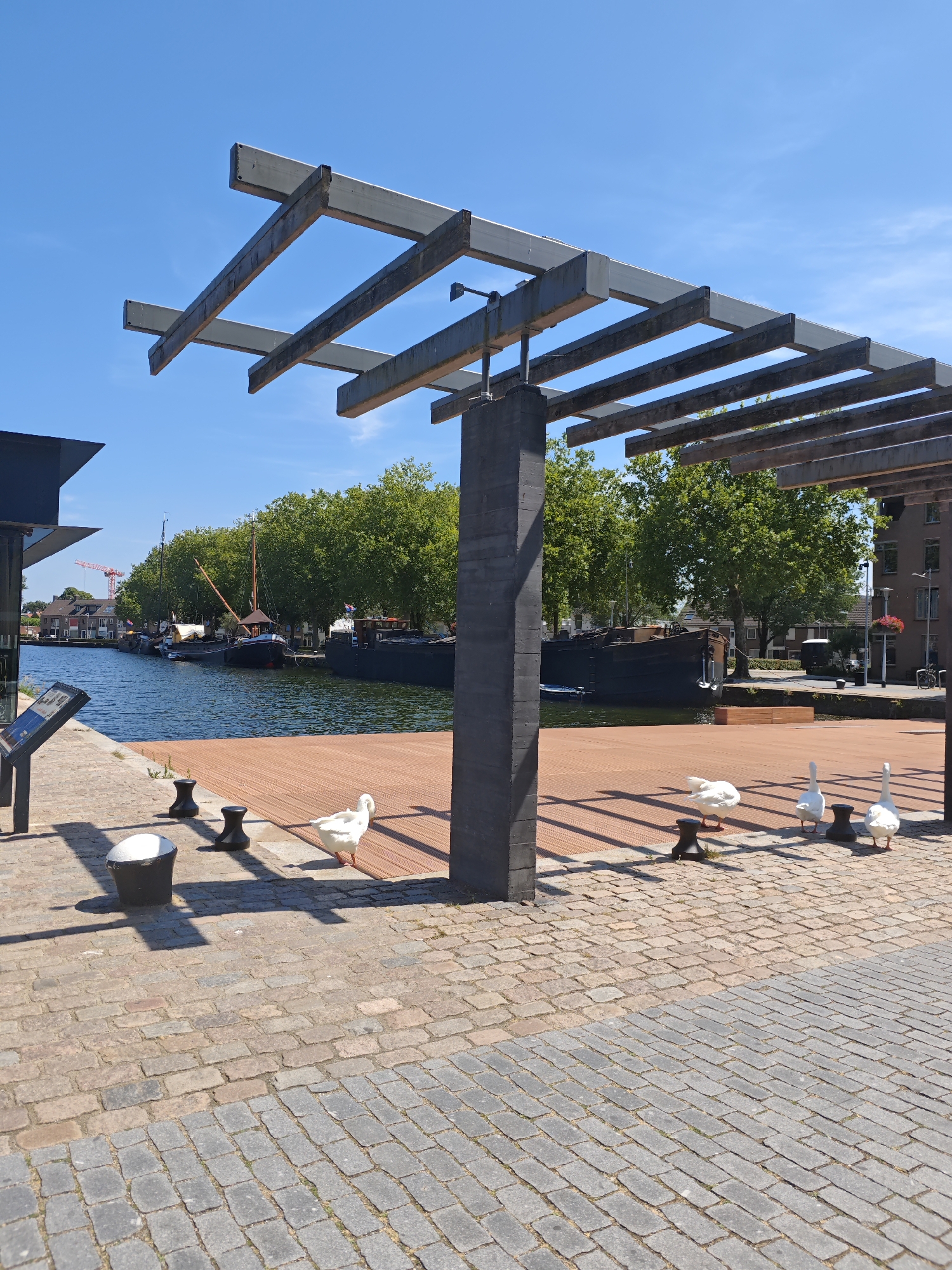 This is a photograph taken on a sunny day in the city of Tilburg, Netherlands. The image depicts a waterfront scene with a canal lined with trees and buildings in the background. In the foreground, there is a paved walkway leading to a wooden deck. Several white geese are present on the deck and the walkway. A modern pergola structure with metal beams extends over part of the scene. The canal features several boats docked along its edge. The overall atmosphere is one of a pleasant urban waterside environment.