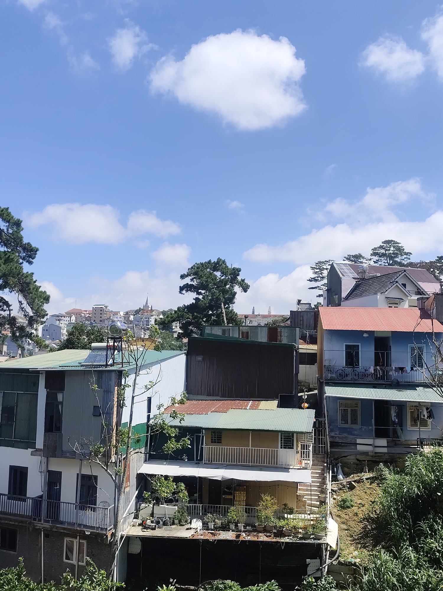 The image captures a hillside view in Da Lat, Vietnam, characterized by a cluster of houses built on varying levels. The houses exhibit a mix of architectural styles and materials, with corrugated metal roofs and balconies being prominent features. Some houses are painted in light colors, such as blue and white, while others are clad in metal sheeting. Greenery, including trees and potted plants, is integrated into the scene, with lush foliage growing on balconies and the surrounding slopes.
In the mid-ground, a townscape unfolds, featuring more densely packed buildings and what appears to be a church spire in the distance, hinting at the presence of a larger urban area. The sky above is a bright blue, dotted with fluffy white clouds, suggesting a clear day. The overall impression is one of a densely populated residential area on a natural incline, typical of many Vietnamese cities that incorporate the topography into their urban fabric. There are no visible people or animals in the frame.