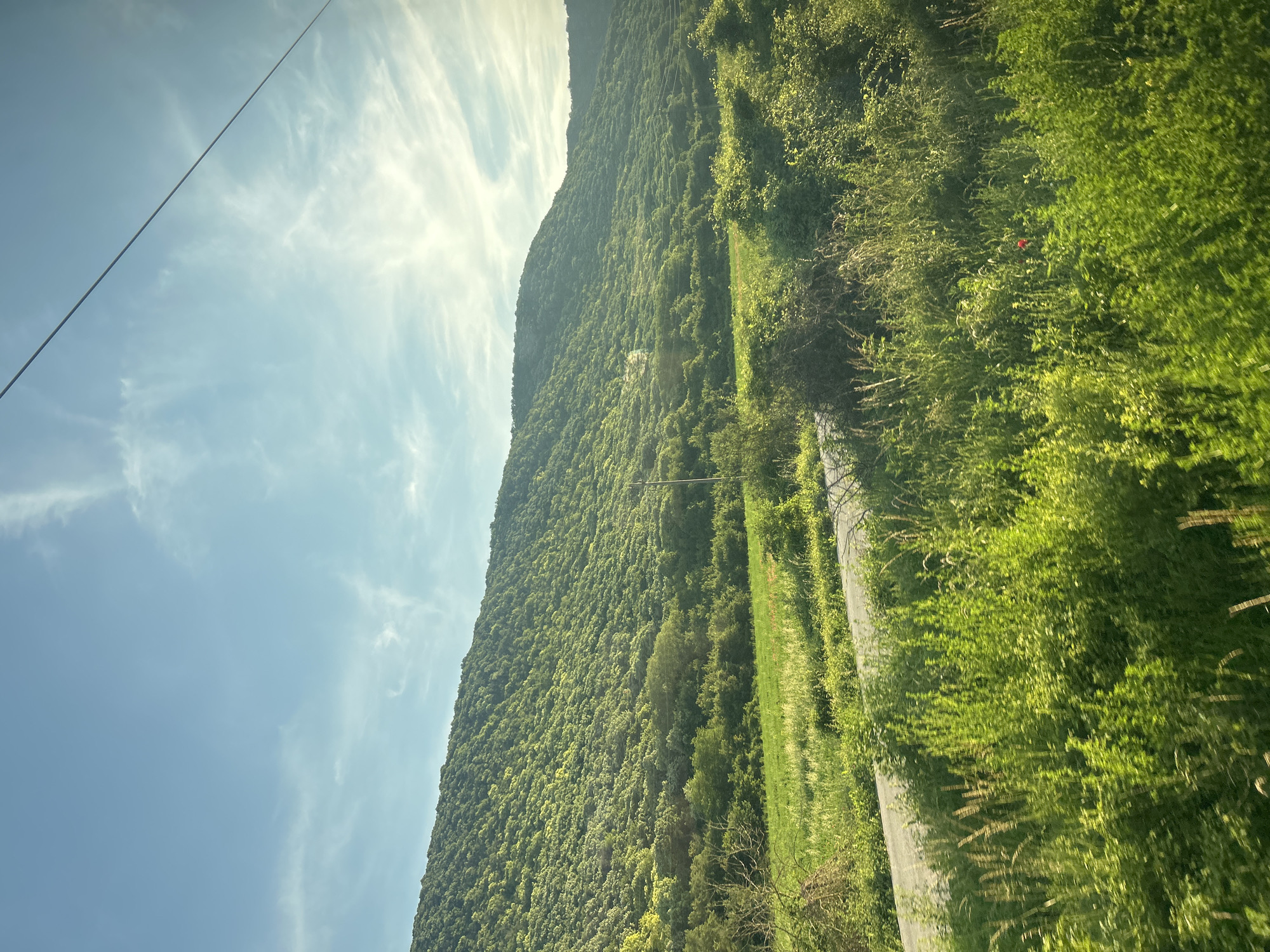The image depicts a sunlit mountainous landscape with lush green vegetation under a clear blue sky dotted with wispy white clouds. A narrow, grey asphalt road winds through the lower portion of the scene, bordered by abundant green foliage and grasses. The distant mountain is densely covered in trees and shrubs, with sunlight casting highlights and shadows across its slopes. A faint, thin wire is visible stretching diagonally across the upper right quadrant of the sky. The scene captures a natural, rural environment, likely located in the vicinity of Kaspichan, Bulgaria, given the context. There are no people or specific objects of note other than the road and the natural elements.