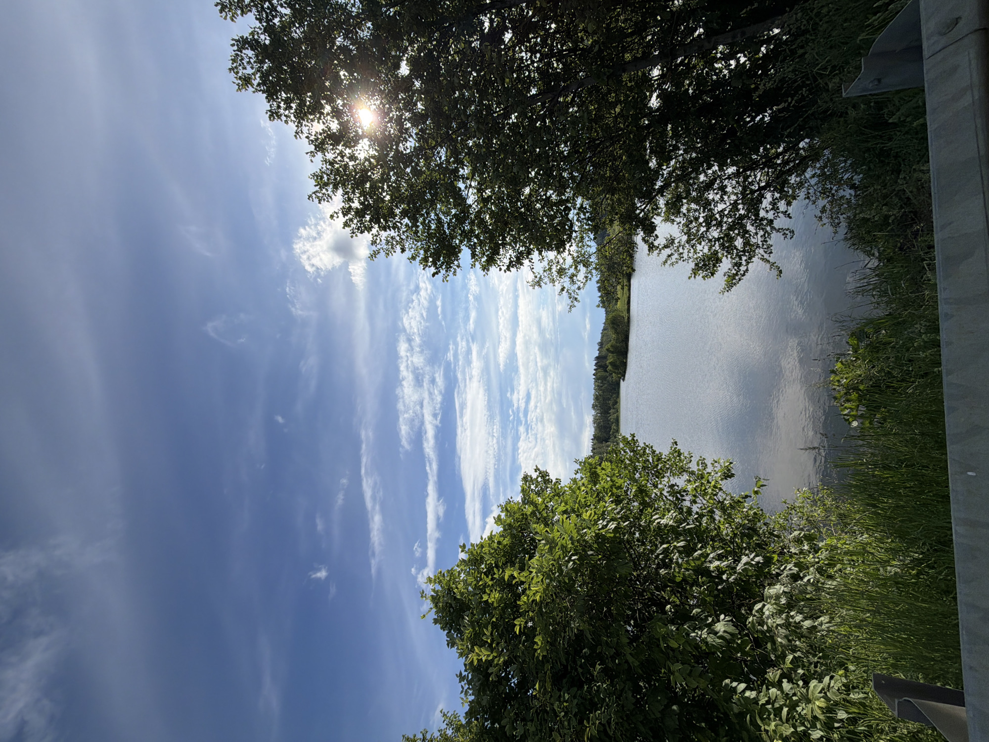The image displays a serene natural landscape, primarily composed of a body of water and the sky, bordered by lush green vegetation. The photograph appears to be taken on a bright day, capturing the beauty of a vast natural environment.
A wide expanse of blue sky dominates the upper portion of the frame, streaked with long, wispy white clouds that suggest fair weather. The sun is visible in the upper right through the leaves of a tree, casting a bright sunburst and creating highlights. Below the sky lies a calm body of water, likely a lake or a wide river, reflecting the brightness of the sky and the distant shoreline.
The water's edge on the far side is lined with a dense forest of dark green trees, indicating an unspoiled natural setting. In the foreground, particularly along the right side and bottom, are vibrant green bushes and tall grass, some appearing slightly shadowed. A grey, metallic structure, possibly a guardrail or part of a bridge, is visible along the extreme right edge, suggesting the vantage point is from a road or path elevated above the water.
The scene conveys a peaceful and tranquil atmosphere, typical of a sunny day in nature. There are no people or specific activities depicted, focusing solely on the landscape's natural beauty. The time of day appears to be during daylight, likely morning or afternoon, given the clear skies and bright sun. No visible text is present in the image. This idyllic scene is situated in Stolyarovo, Russia.
