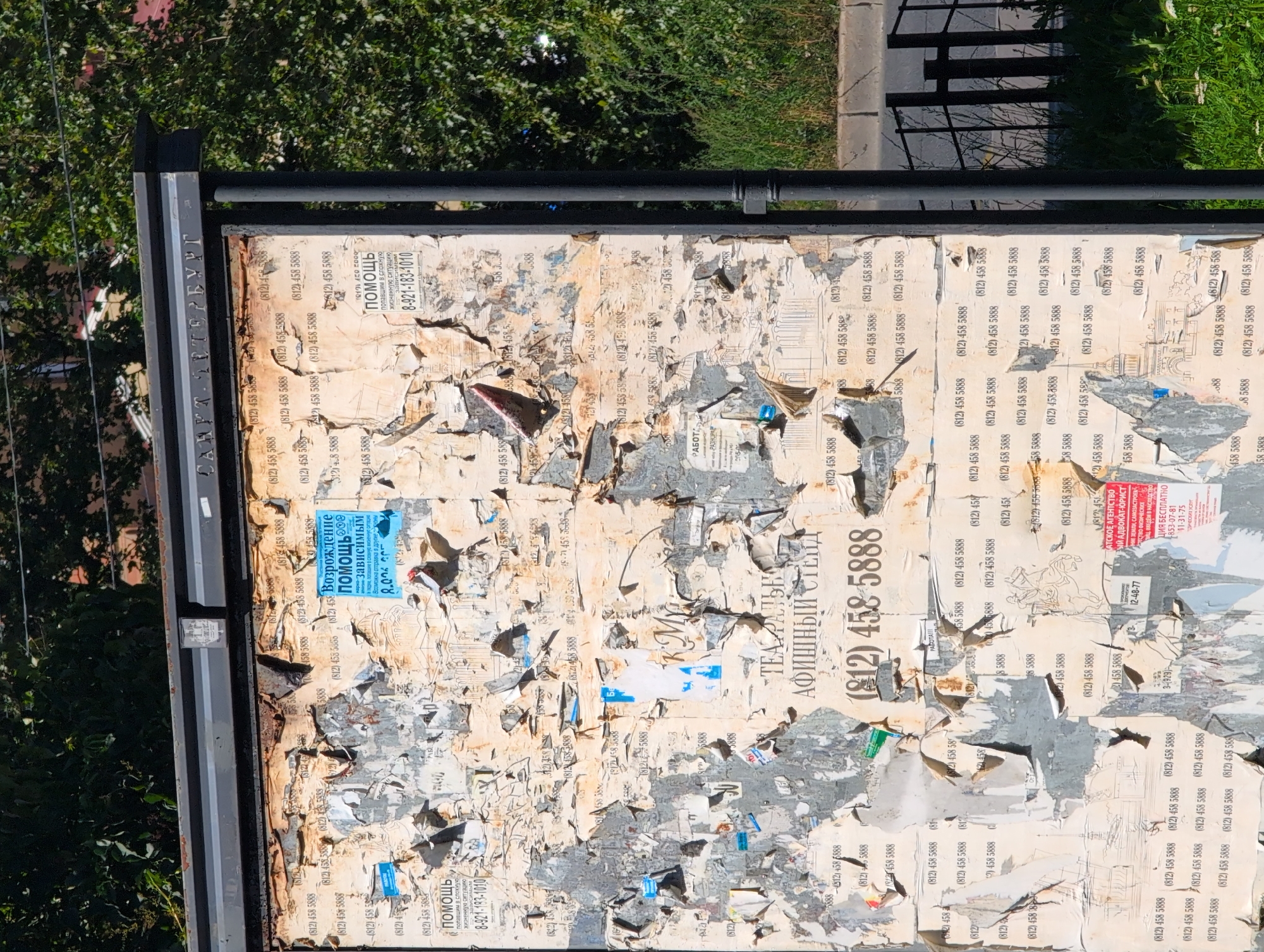 The image is a close-up, eye-level shot of a tattered billboard in Saint Petersburg, Russia, filled with overlapping and torn advertisements. The billboard is weathered, with large sections of posters ripped away, revealing older layers underneath. Many of the visible advertisements are for phone services, repeatedly displaying the number "(812) 458 5888" in black print. One prominent blue poster announces "Возрождение Помощь" (Rebirth Help) and a phone number "8-921-183-1010," suggesting a service for addiction recovery. Another poster, partially visible on the right, is red and white and appears to be a legal advertisement for an "Адвокат-Юрист" (Lawyer-Jurist) with contact information. The top of the billboard frame has Cyrillic text that reads "САНКТ - ПЕТЕРБУРГ" (SAINT PETERSBURG). The background shows a blurred image of green trees, a street, and a black metal fence. The lighting suggests it is daytime, with shadows cast on the billboard.