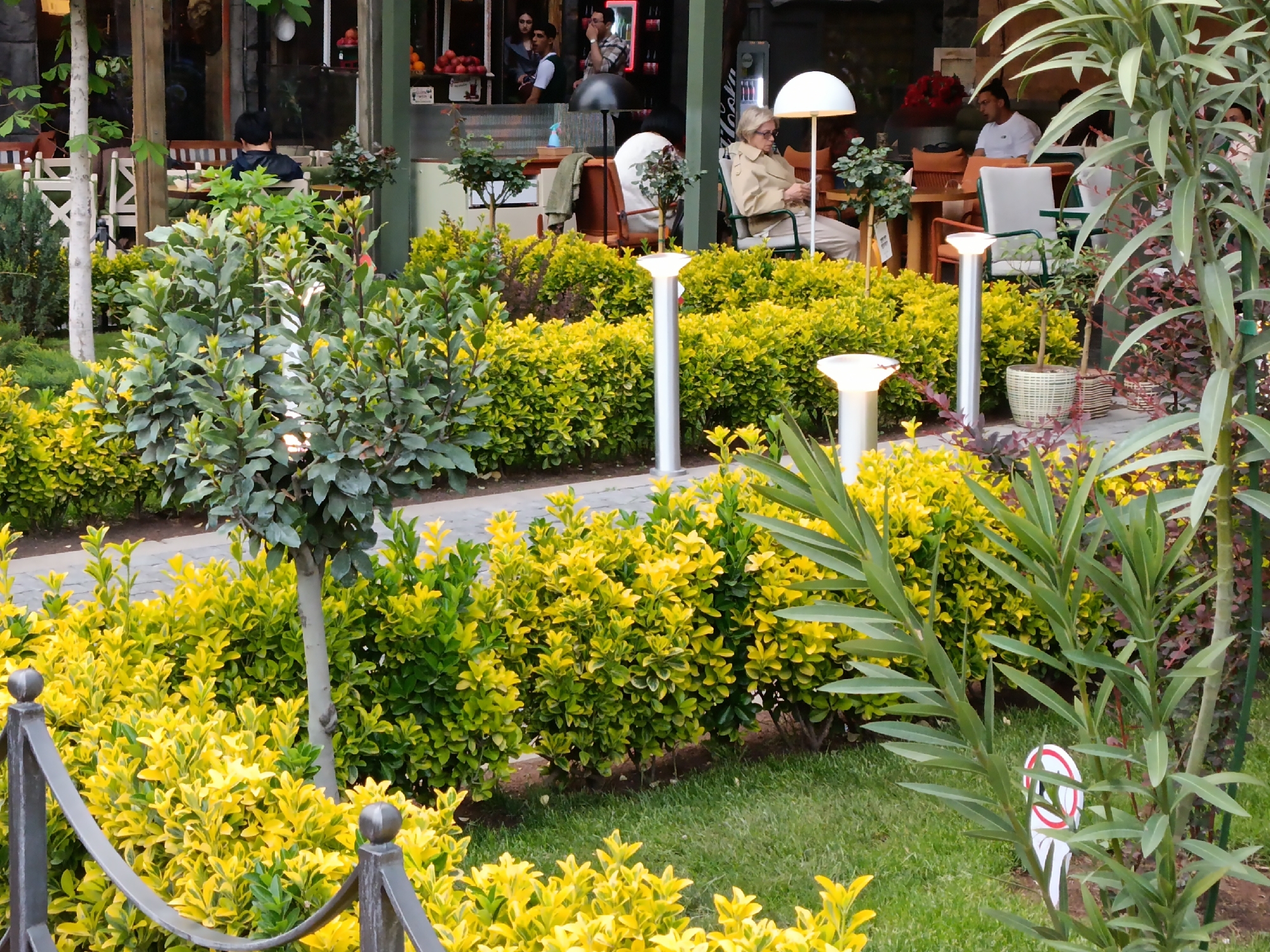 The scene, captured outdoors, reveals a serene ambiance likely within a park or public garden setting in Yerevan, Armenia. The foreground is dominated by a carefully curated array of shrubs with bi-colored leaves, primarily yellow and green. They are neatly trimmed, forming a low hedge, partially bordered by a dark, ornate metal fence.
Behind this verdant display, a row of modern, cylindrical, silver-colored light fixtures with rounded lamps stands. Further back, one sees glimpses of a commercial establishment, probably a cafe or restaurant, where patrons can be seen seated at tables and chairs under protective canopies or awnings. Among the diners is an individual wearing a beige jacket seated under a standing lamp, while other figures are partially obscured by the greenery. The background hints at a bustling city life beyond the immediate vicinity. The weather is bright and clear, suggesting it is daytime. The interplay of manicured foliage and urban elements creates a juxtaposition of nature and city.
