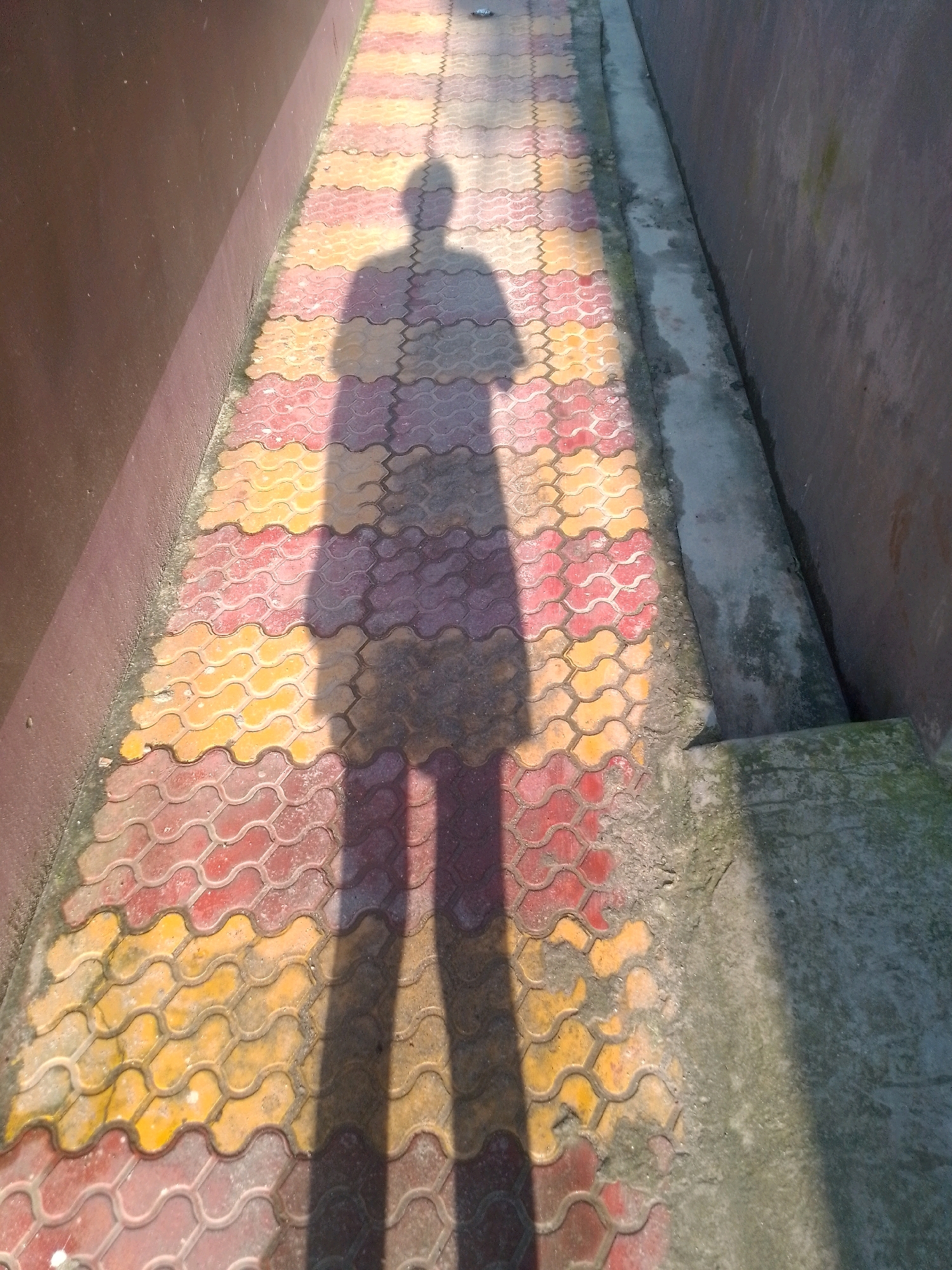 The image displays a shadow of a person cast upon a walkway made of red and yellow interlocking paving stones. The walkway is bordered on the left by a dark brown wall and on the right by a concrete strip and another darker wall. The scene appears to be outdoors, likely in a public area. The lighting suggests it is daytime, with the sun casting a strong shadow from the left. The paving stones are patterned and slightly textured, with some appearing wet or discolored. The concrete on the right side shows signs of wear and some moss or algae growth. The overall impression is one of an everyday outdoor scene.