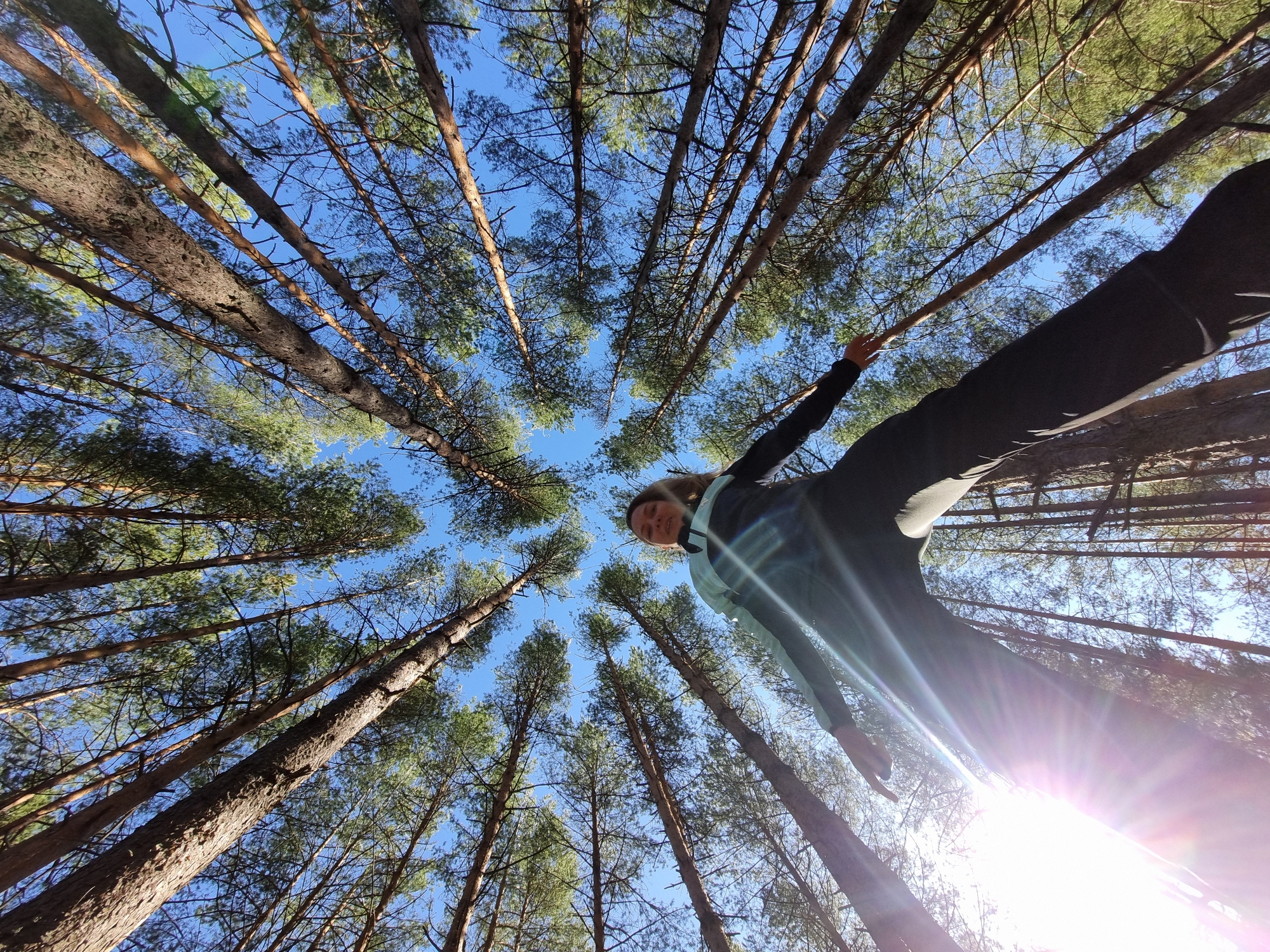 The image shows a person standing in a forest in Chaikovsky, Russia. The camera is positioned low, looking up towards the sky, creating a converging perspective of the tall trees surrounding the person. The sky is blue and visible through the canopy. The person is centered in the frame, with one arm outstretched. Sunlight is visible, creating a lens flare effect in the lower right corner of the image.