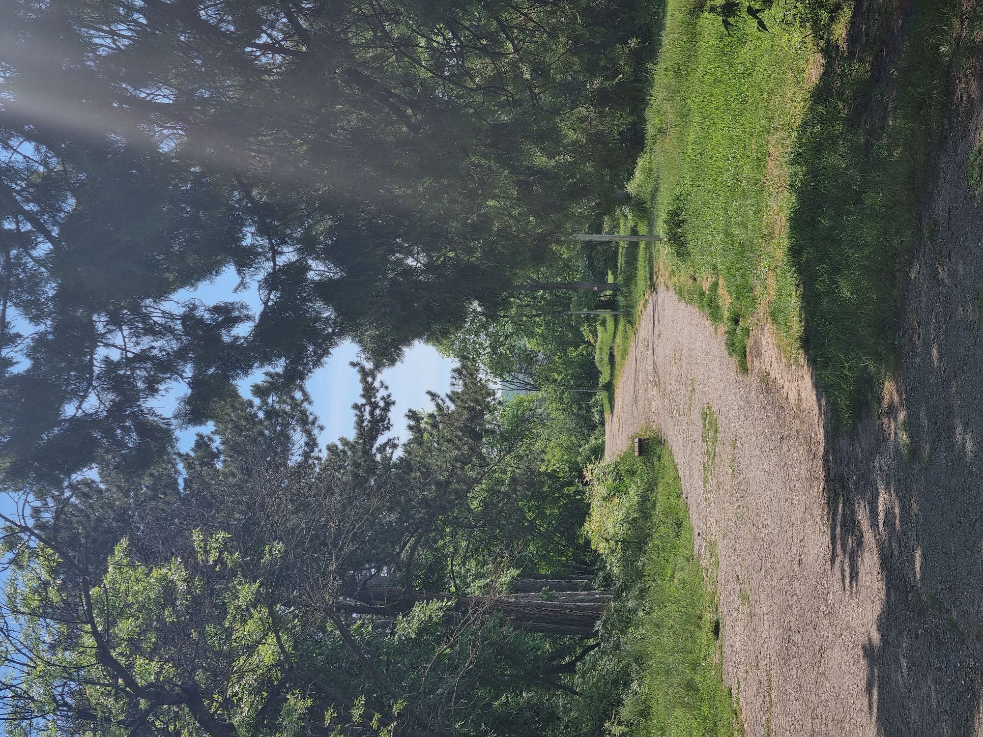 The image shows a path in Kaylaka Park, Pleven, Bulgaria. The path is made of gravel and curves gently. It is bordered by green grass and trees. The sky is visible through the trees. Sunlight filters through the trees.