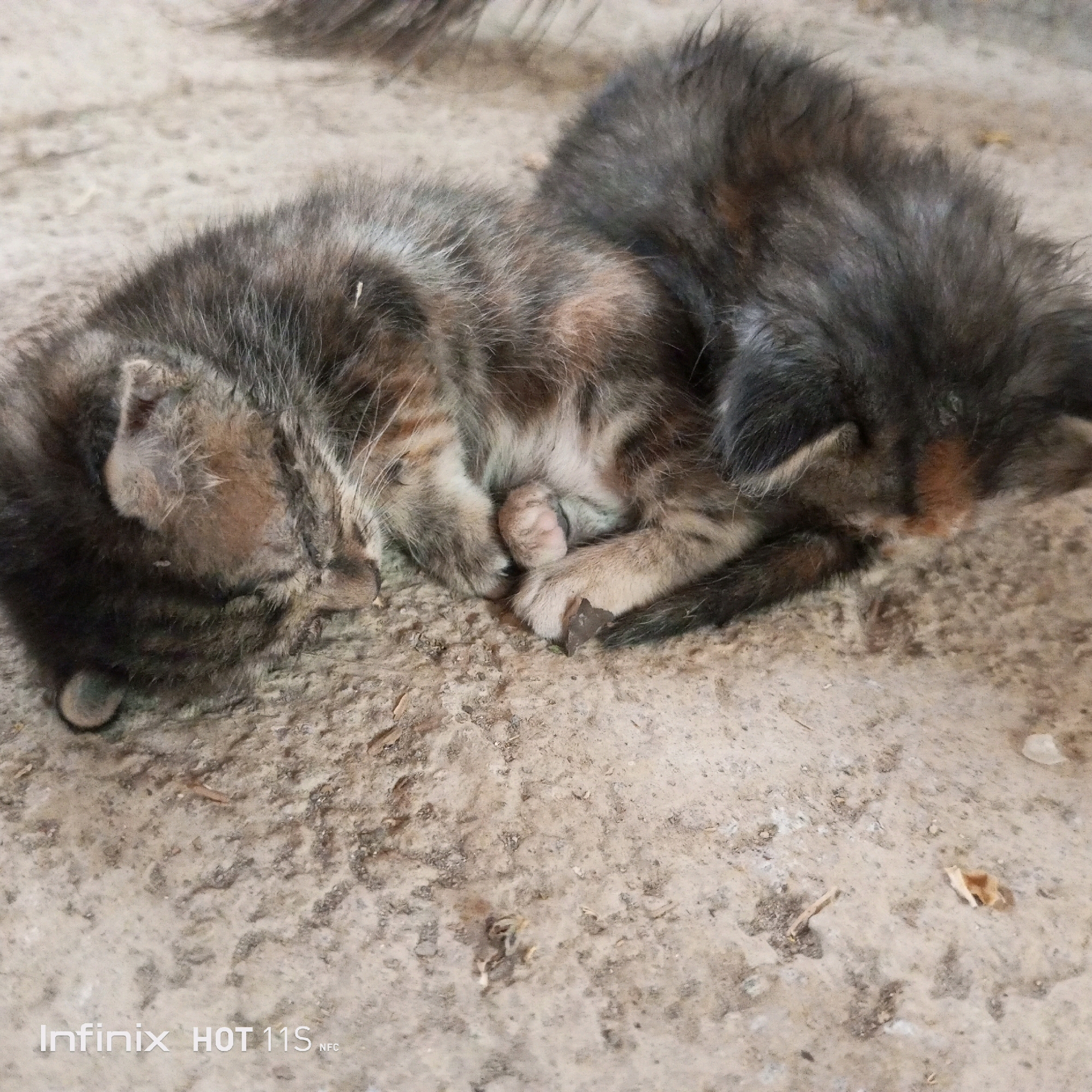 The image shows two young kittens, appearing to be of the same litter, sleeping curled up together on a rough, dirt or concrete surface. The kittens have mottled fur with shades of gray, brown, and black. One kitten is positioned on top of the other. The surface they are resting on is uneven and appears to be outdoors, possibly in a yard or alley. There is no discernible city or specific location information within the image itself. The Infinix HOT 11S NFC watermark is present in the bottom left corner, indicating the device used to capture the photograph.