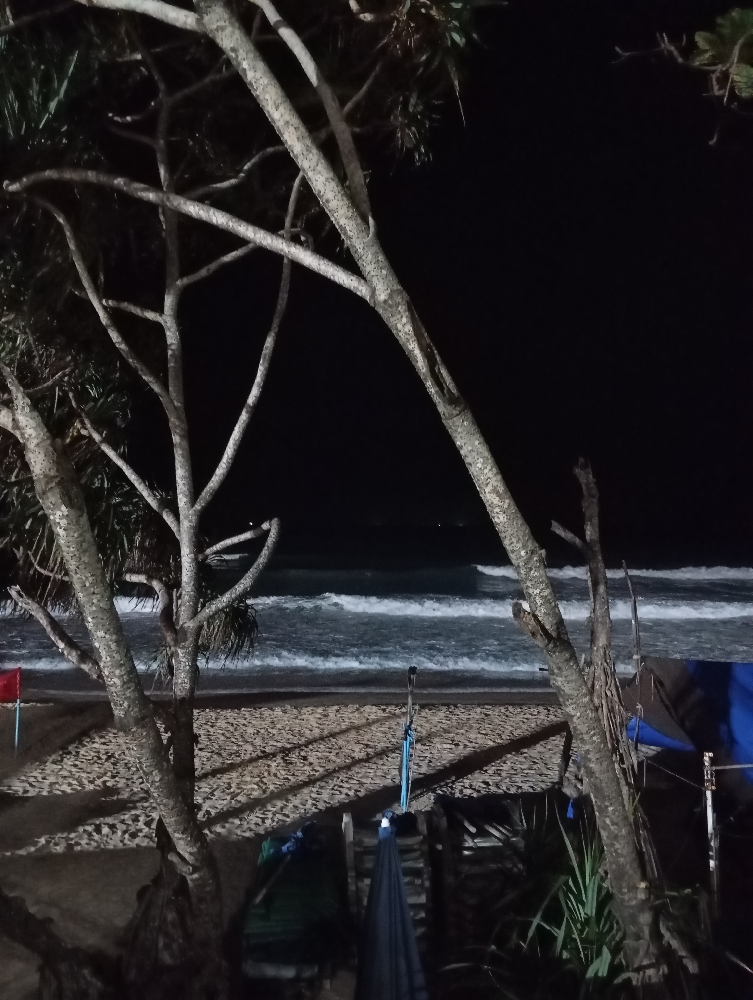 The image depicts a nighttime scene on a beach. In the foreground, the textured bark of a tree with multiple branches dominates the left and right sides of the frame, obscuring parts of the background. Beyond the trees, the ocean stretches out with visible waves breaking on the shore. The beach itself is sandy, with shadows cast across it, suggesting artificial lighting. A few scattered objects, including a red flag on a pole, a blue tarp, and some green and blue fabric bundles, are visible on the sand. The overall atmosphere is dark and somewhat mysterious due to the low light conditions.