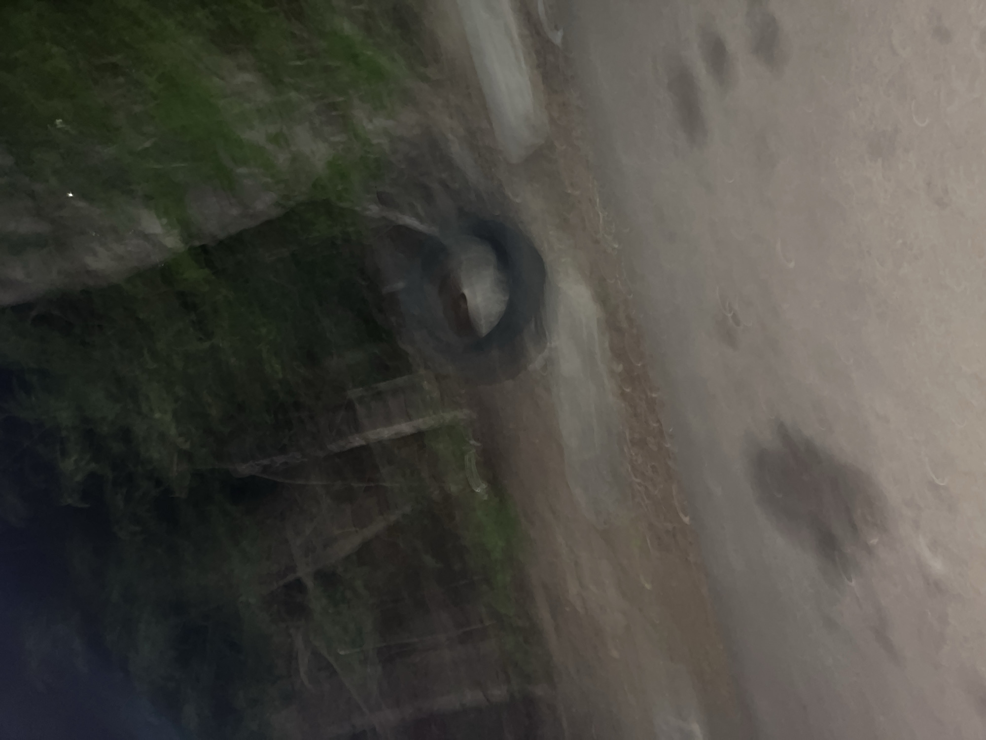 The image depicts a tire hanging from a tree in what appears to be a wooded or natural area. The scene is dimly lit, suggesting it might be nighttime or a heavily shaded location. The ground is covered in dirt and some dry leaves. In the foreground, there are some indistinct shadows or marks on the ground, possibly footprints. The overall impression is one of a rural or semi-natural setting.
