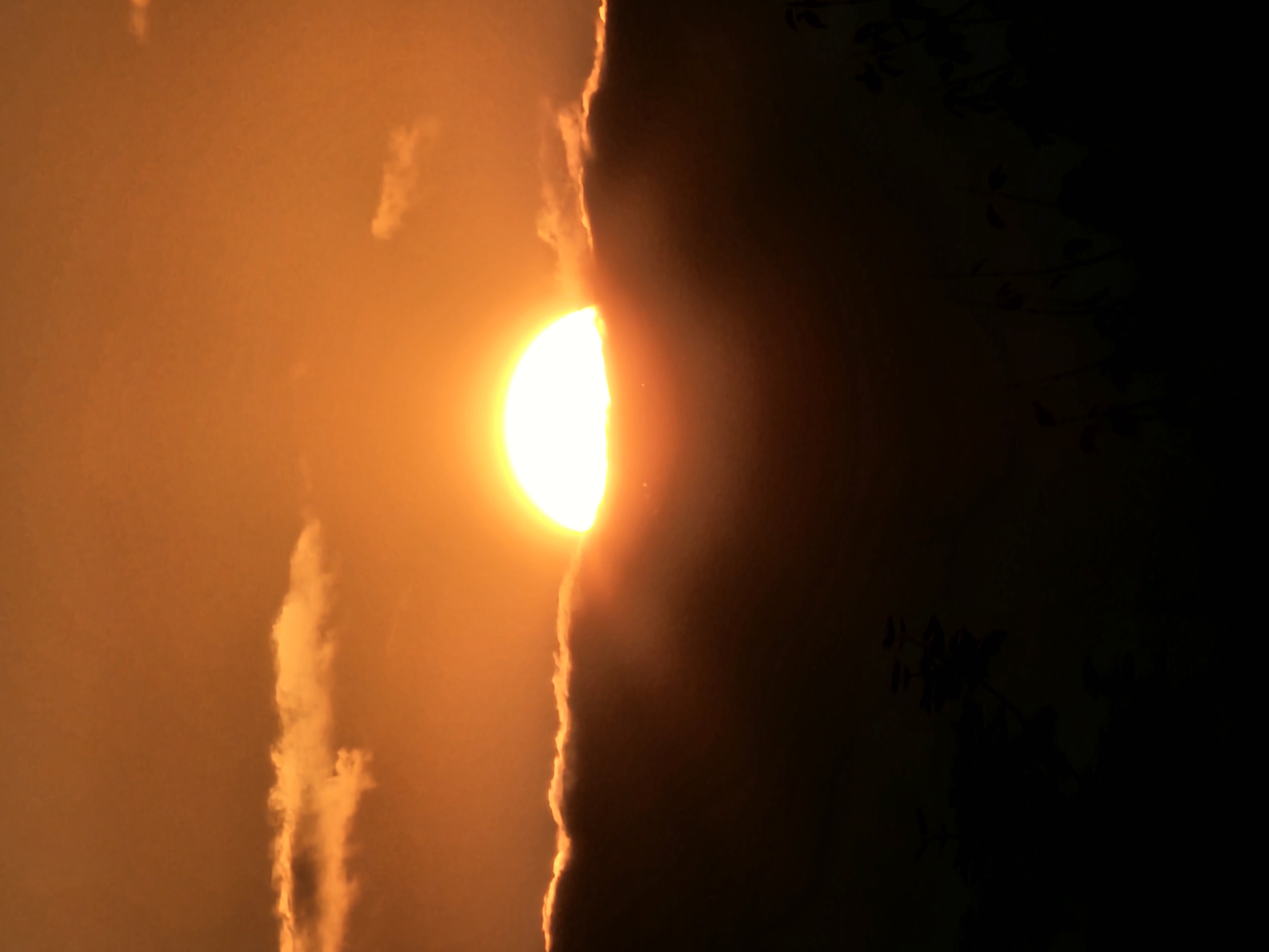 The image shows a sunset with the sun partially obscured by a dark cloud bank. The sky is a vibrant orange, and the sun is a bright white orb. A few wispy clouds are visible in the upper part of the sky. The foreground is dark and silhouetted, showing what appear to be trees or foliage against the glowing sky. The scene evokes a sense of natural beauty and tranquility. No specific details about the city of Khimki, Russia, or any people, actions, or interactions are discernible in the image.
