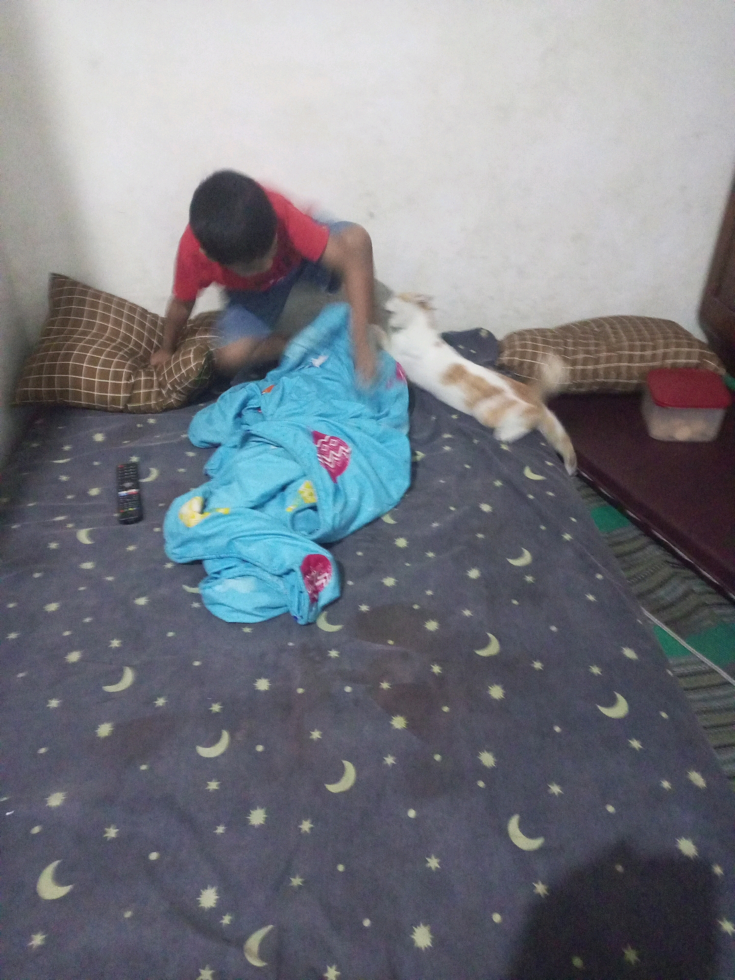 In a bedroom in Ngasem, Indonesia, a young boy in a red shirt and blue shorts is playing on a bed with a blue blanket. A ginger and white cat is also present on the bed, interacting with the boy. The bed is covered with a dark grey sheet featuring a pattern of yellow moons and stars. Pillows are placed at the head of the bed. A remote control lies on the bedspread. A red plastic container with food is visible on a mat beside the bed. The room has plain white walls.