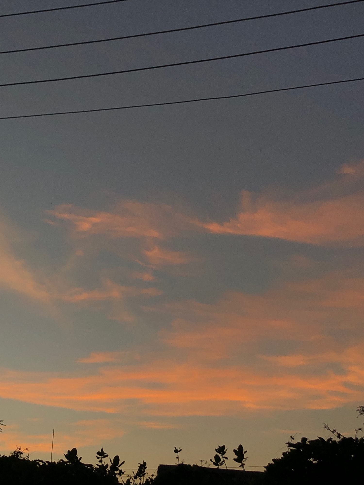 The image captures a dusky sky over Minna, Nigeria. The sky is a gradient of deep grey at the top, transitioning to lighter shades of grey and pale orange as it nears the horizon. Wispy clouds, tinged with a soft pink and orange hue, are scattered across the sky, illuminated by the setting or rising sun. Several dark, thin power lines stretch horizontally across the upper portion of the frame. Silhouetted against the lower part of the sky is a dark line of vegetation, consisting of trees and bushes, with their leaves and branches indistinctly outlined. A few small, leafy plants are visible in the foreground, also in silhouette. A thin, vertical pole, likely a utility pole or antenna, is also present in the dark vegetation line. The overall scene conveys a sense of twilight peace in an urban or semi-urban setting.