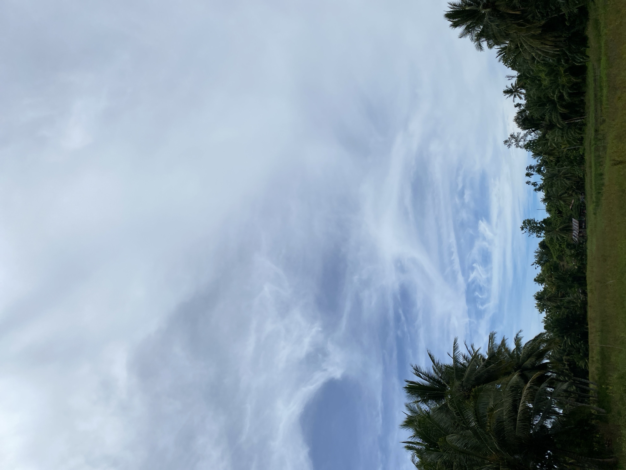 The image depicts a cloudy sky in Blangrheuem, Indonesia. The sky is a mix of blue and white, with thin, wispy clouds. The right side of the image features a line of trees, including coconut palms, and a patch of green grass. The image is oriented vertically, with the sky dominating the frame.