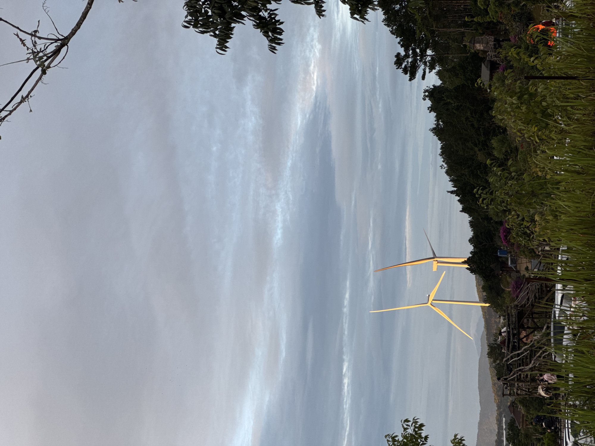 The image depicts a landscape in what appears to be the city of Phát Chi, Vietnam. Two wind turbines stand prominently in the mid-ground, illuminated by the setting sun, suggesting they are in operation. The sky is overcast with layered clouds. Lush greenery, including trees and tall grass, borders the turbines. In the distance, a body of water or a hazy mountain range can be seen. There's some sort of architectural structure near the wind turbines. A branch with sparse leaves is visible in the upper left corner of the frame.