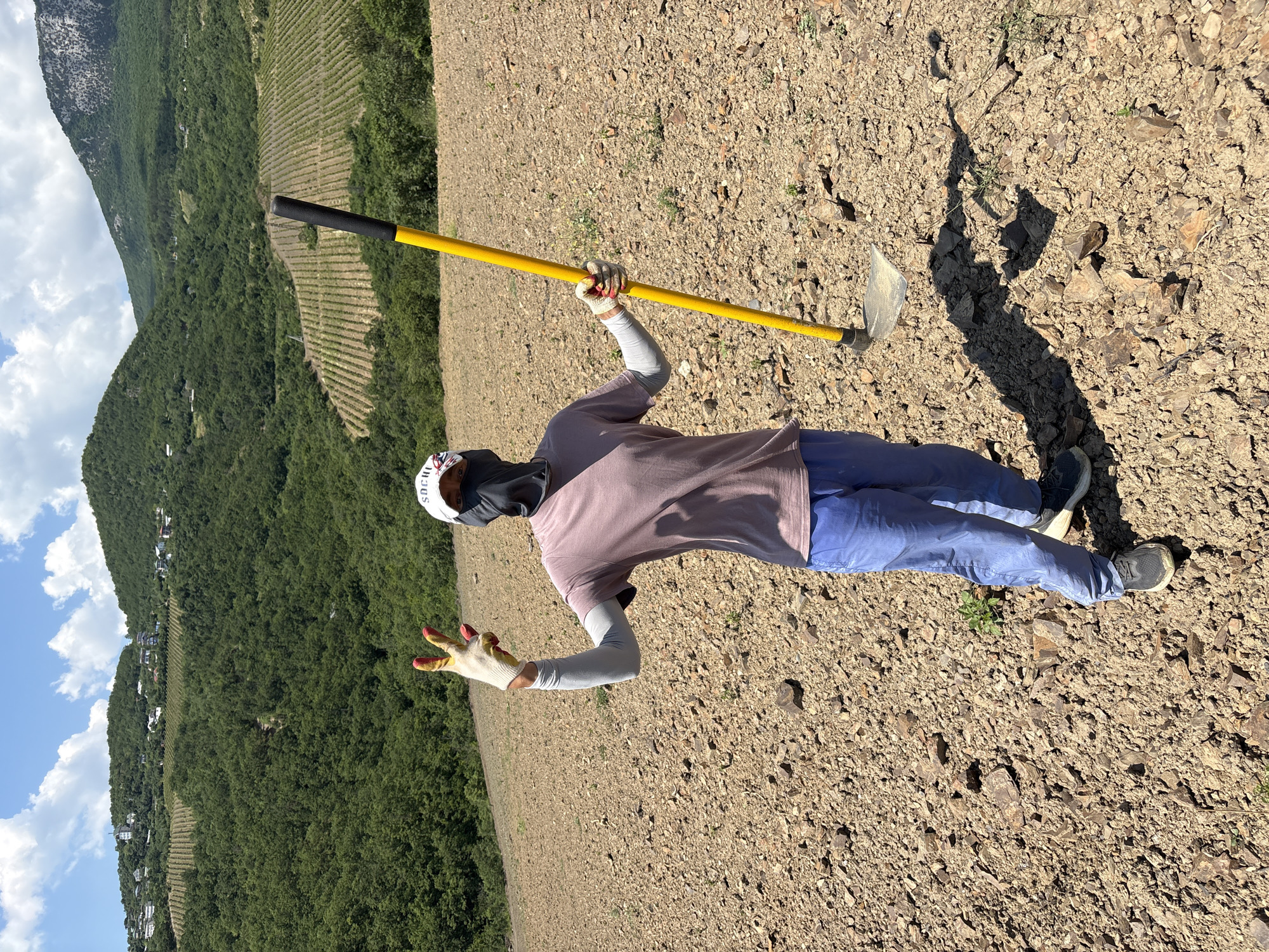A person stands upright on dry, rocky, and uneven ground in what appears to be an agricultural or uncultivated area in Chaika, Ukraine. The individual, positioned prominently in the foreground, faces the camera while holding a hoe with a bright yellow handle over their right shoulder. They are wearing a light purple short-sleeved t-shirt over light grey arm-length sleeves, blue pants, and dark sneakers. White gloves with red tips cover their hands, and a white cap with "SOCHI" visible on the front is worn over a dark face covering or mask that obscures most of their face. With their left hand, the person is making a "peace sign" (V-sign).
The scene is set outdoors under a clear blue sky with a few white clouds. The bright daylight casts distinct shadows, indicating midday or early afternoon. The background reveals a vast, green, hilly, and mountainous landscape. Lush forests cover much of the terrain, interspersed with neatly arranged terraced fields, likely vineyards or orchards, extending across the slopes. A few scattered buildings or houses can be seen nestled among the trees in the distance. The overall impression is one of rural activity in a scenic, rugged environment.