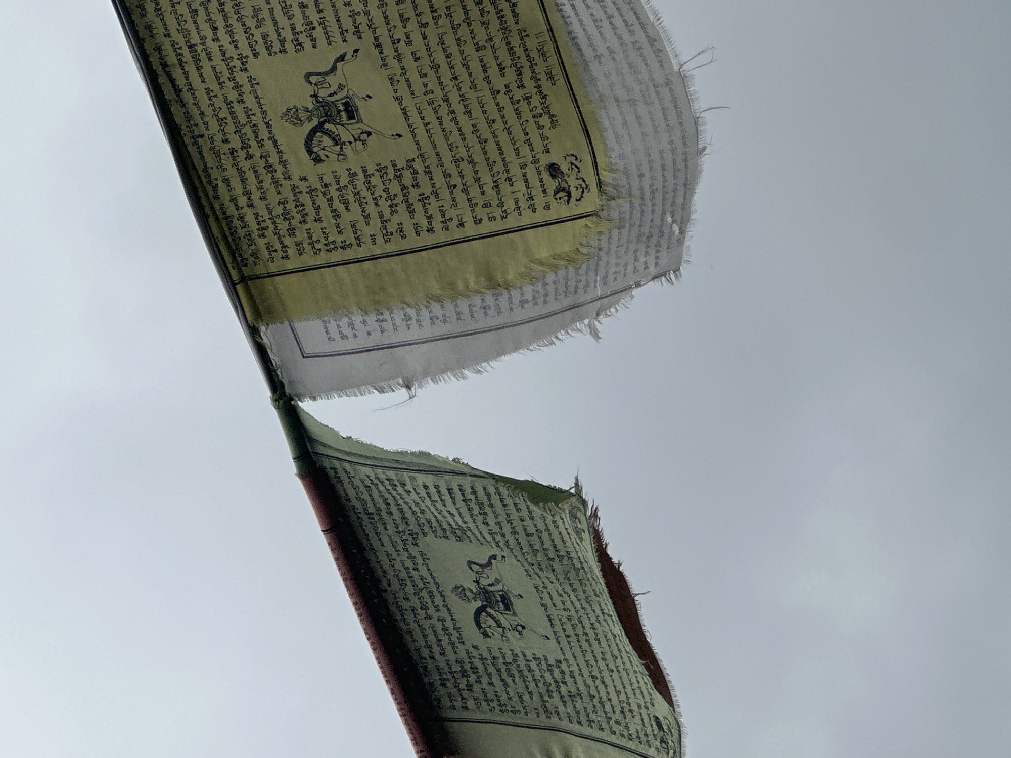 Two prayer flags are displayed against a muted grey sky. The flags are suspended from a horizontal pole, which is partially visible on the left side of the frame. Both flags are adorned with text and imagery, typical of prayer flags found in locations like Bhagsu, India. The flag on the left is predominantly green, featuring intricate black script and a central illustration of a horseman. The flag on the right is lighter in color, possibly yellow or cream, with similar script and illustrations. Both flags appear weathered, with frayed edges and some visible wear and tear, suggesting they have been exposed to the elements. The overall impression is one of solemnity and cultural significance, common in spiritual sites.