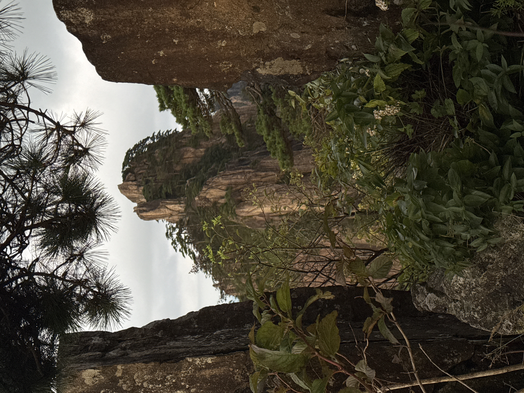 The image is a landscape view of a mountain range, likely within Huangshan District, China. The foreground is dominated by lush green foliage and dark, rugged rocks. In the middle ground, a towering, jagged mountain peak covered in trees rises prominently against a cloudy sky. The background reveals a dramatic mountain landscape with steep cliffs and more vegetation. The lighting suggests it is daytime, possibly overcast. There are no people or animals visible in the scene. The overall impression is one of natural grandeur and rugged beauty.