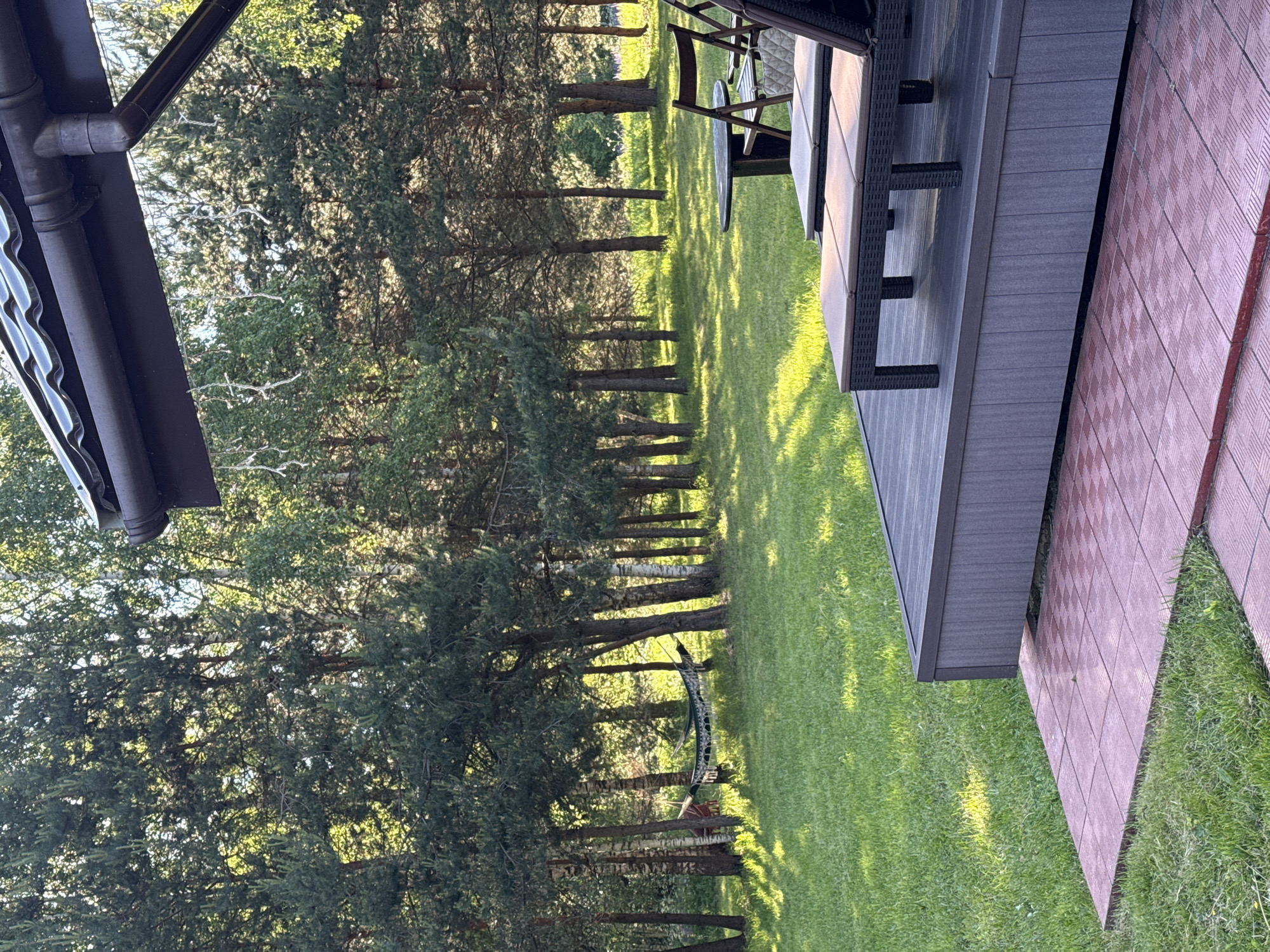 The image depicts an outdoor recreational area bordering a forest, located in Копнино, Russia, under bright daylight. In the immediate foreground, red-brown square-patterned paver tiles are visible on the left, leading to a dark grey composite deck. On this deck, two dark brown outdoor lounge chairs with light-colored cushions are positioned. Further back on the deck, a round dark table is flanked by two dark wooden folding chairs; one chair holds a light-colored object. The midground features an expanse of manicured green lawn, exhibiting distinct patches of sunlight and shadow. A line of mixed evergreen and deciduous trees separates the lawn from a denser forest beyond. A green hammock with white fringe is suspended between two trees within this midground tree line. The background consists of a dense forest of primarily coniferous trees, illuminated by dappled sunlight. In the upper right corner, a dark brown corrugated roof overhang with a matching gutter system and downspout is visible, from which several light-colored, twig-like decorative elements are suspended. No people or animals are present.