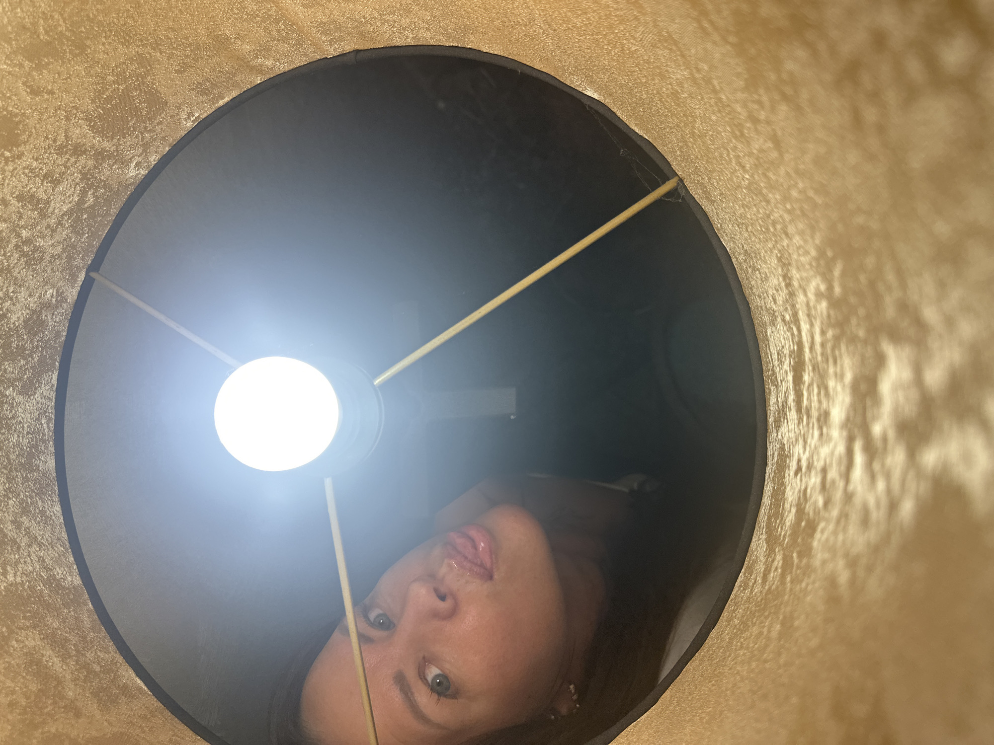 This image captures an unusual perspective from inside a lit lampshade, revealing a person looking into it. The main subject is a woman, seen upside down from the lampshade's perspective, with light-colored eyes and dark hair. Her face is visible, with her tongue slightly out, suggesting a playful or quirky expression.
The lampshade itself has a dark, possibly black, interior. The exterior, visible at the edges, is made of a textured, light golden-beige fabric, possibly velvet or a similar material. A bright, white light bulb is prominently featured at the top-center of the frame, fully illuminated and acting as the primary light source for the scene. Three thin, light-colored rods, part of the lampshade's internal structure, support the bulb and converge towards its base.
A small, delicate spiderweb can be observed attached to one of these support rods on the right side of the lampshade's interior, near the edge. The activity appears to be a person looking into the illuminated lampshade, possibly for a unique selfie or portrait. No specific time of day is discernible, as the scene is dominated by artificial light from the bulb. There is no visible text in the image. The location context for this media file is Chaikovsky, Russia.