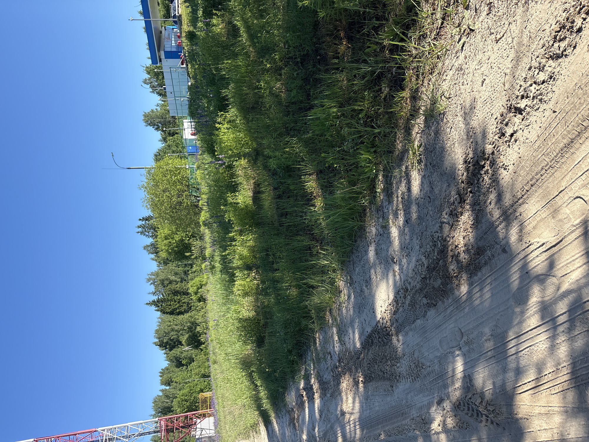 The image, when rotated correctly to a landscape orientation, depicts an outdoor scene under a bright, clear blue sky. In the foreground, a sandy dirt path with distinct tire tracks and some footprints stretches diagonally across the frame. Long, dark shadows from unseen trees are cast across this path, suggesting strong sunlight in either the late morning or early afternoon.
Adjacent to the dirt path, a vibrant strip of green grass and varied foliage runs parallel into the midground. Behind this greenery, a dense line of trees forms the backdrop for much of the scene. On the right side of the image, a building with a prominent blue roof is visible, resembling a gas station or a small commercial structure. A sign on this building displays the text "ЛУКОЙЛ" (Lukoil) in Cyrillic script. A tall light pole stands near the building.
On the far left side of the image, partially visible against the sky, is a large red and white lattice structure, possibly part of a construction crane or a communication tower. No people are visible, and there is no direct activity taking place, though the tracks on the path imply recent movement. The overall impression is a sunny day in a semi-developed or roadside area.