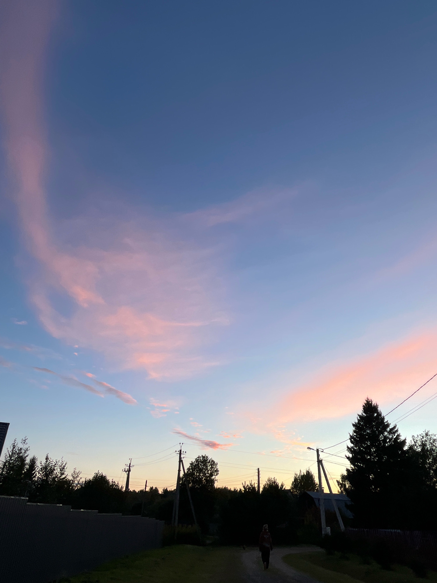The image captures a rural landscape at dusk, with a gradient of blue to pink hues in the sky. A single person walks along a dirt path in the foreground, silhouetted against the fading light. The path is flanked by dark trees and a fence. Electrical poles and wires traverse the scene, indicating a populated area. The location is identified as Krasnaya Presnya SNT, Russia.