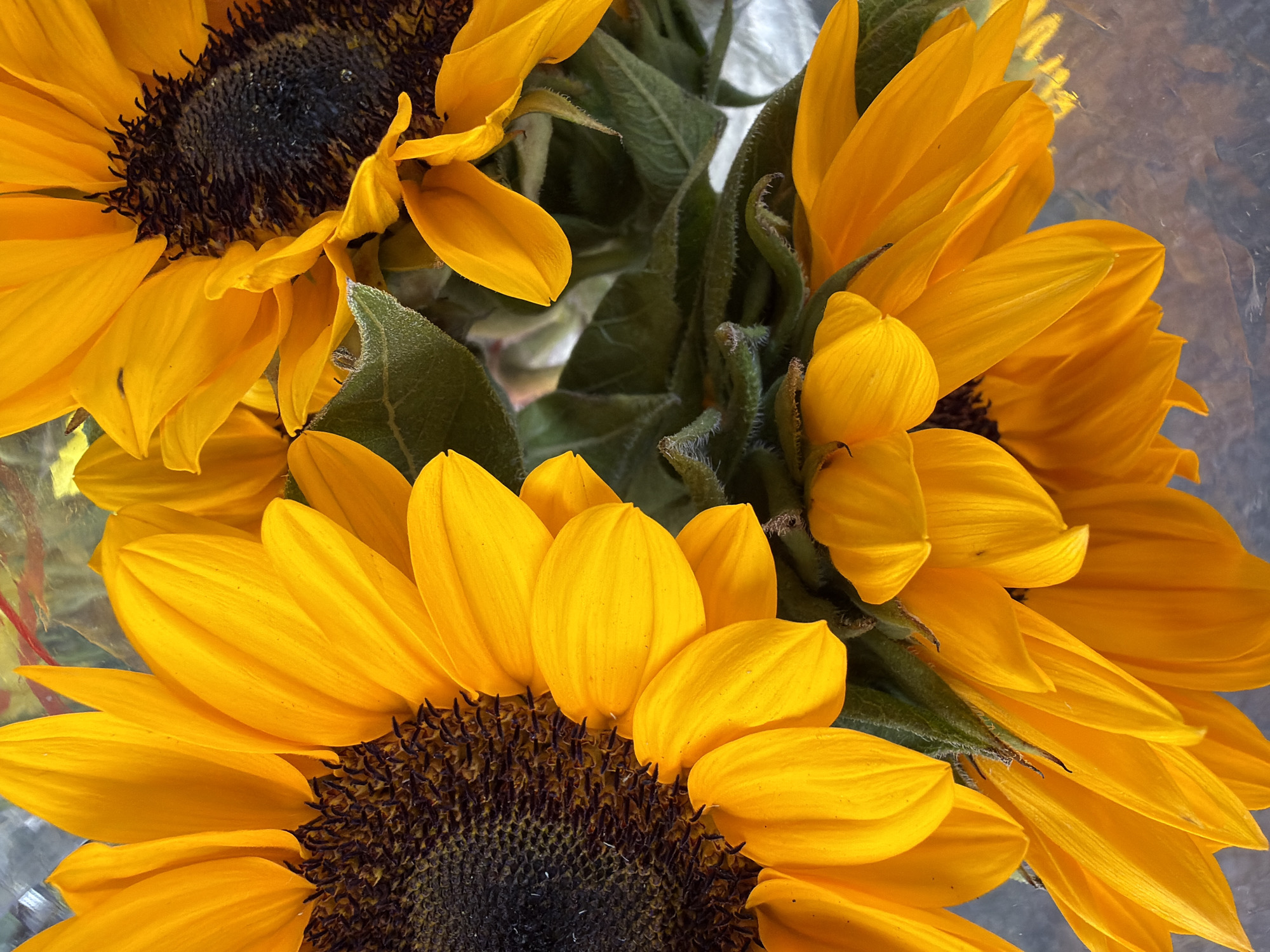 The image shows a close-up of several sunflowers, their vibrant yellow petals and dark centers filling the frame. The flowers are arranged in a bouquet, with some facing forward and others angled away. Green leaves and stems are visible amongst the blooms. The background appears to be out of focus and suggests an indoor setting, possibly a market or a florist shop, with a reflective surface hinting at a table or display. There is no indication of the city of Nha Trang Ward, Vietnam, in the image.